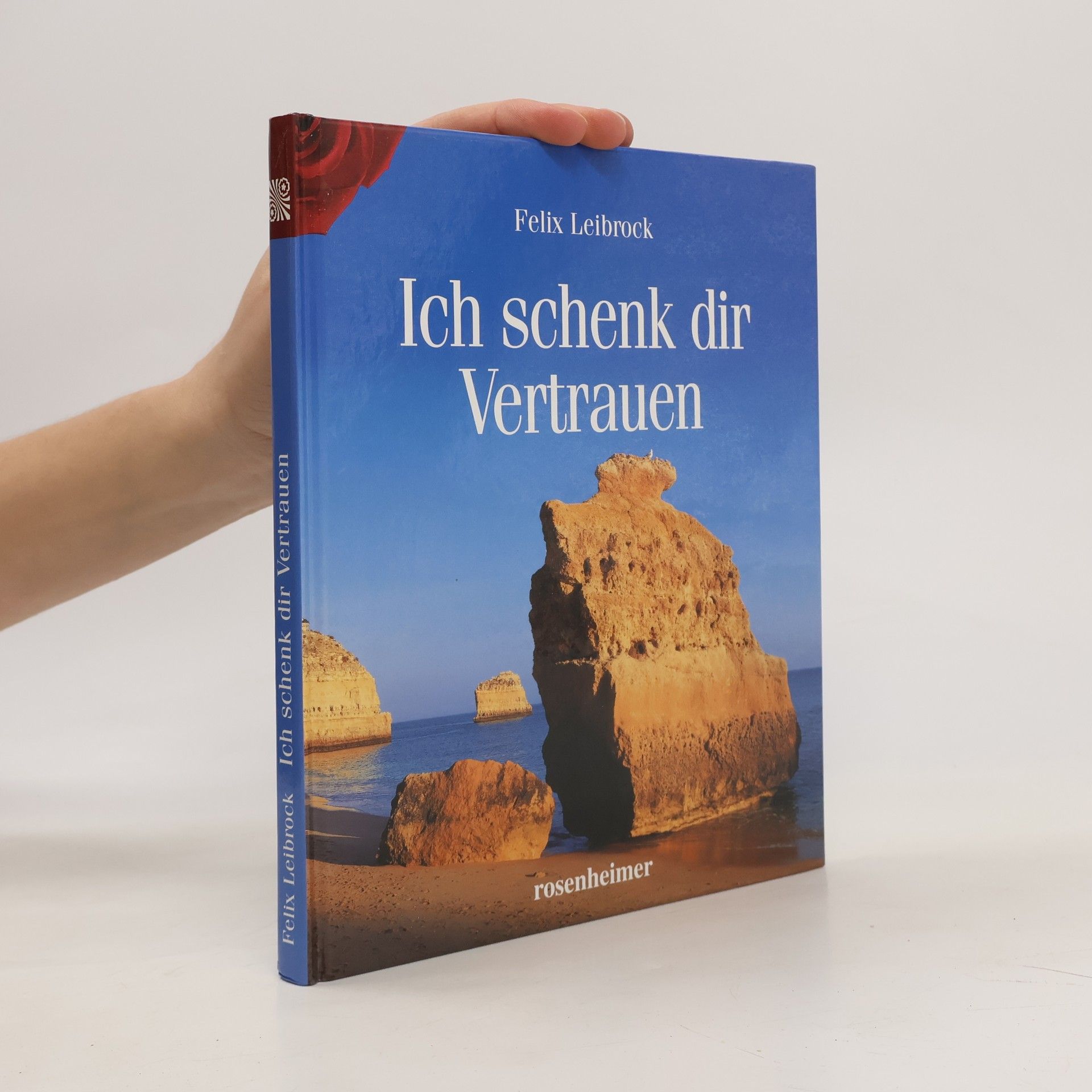 Felix Leibrock Ich schenk dir Vertrauen