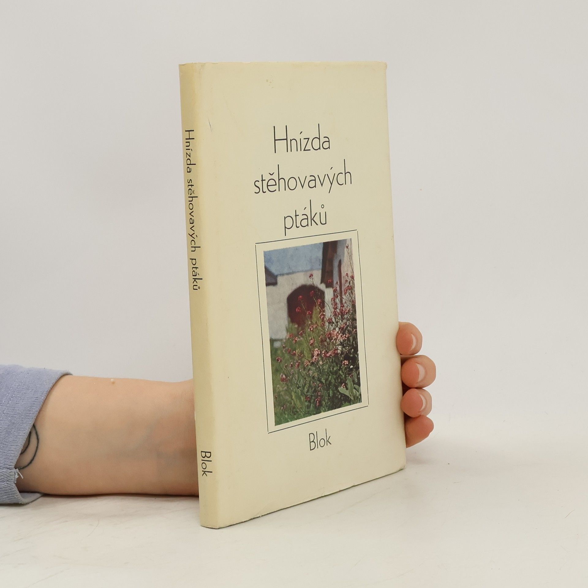 kolektiv Hnízda stěhovavých ptáků