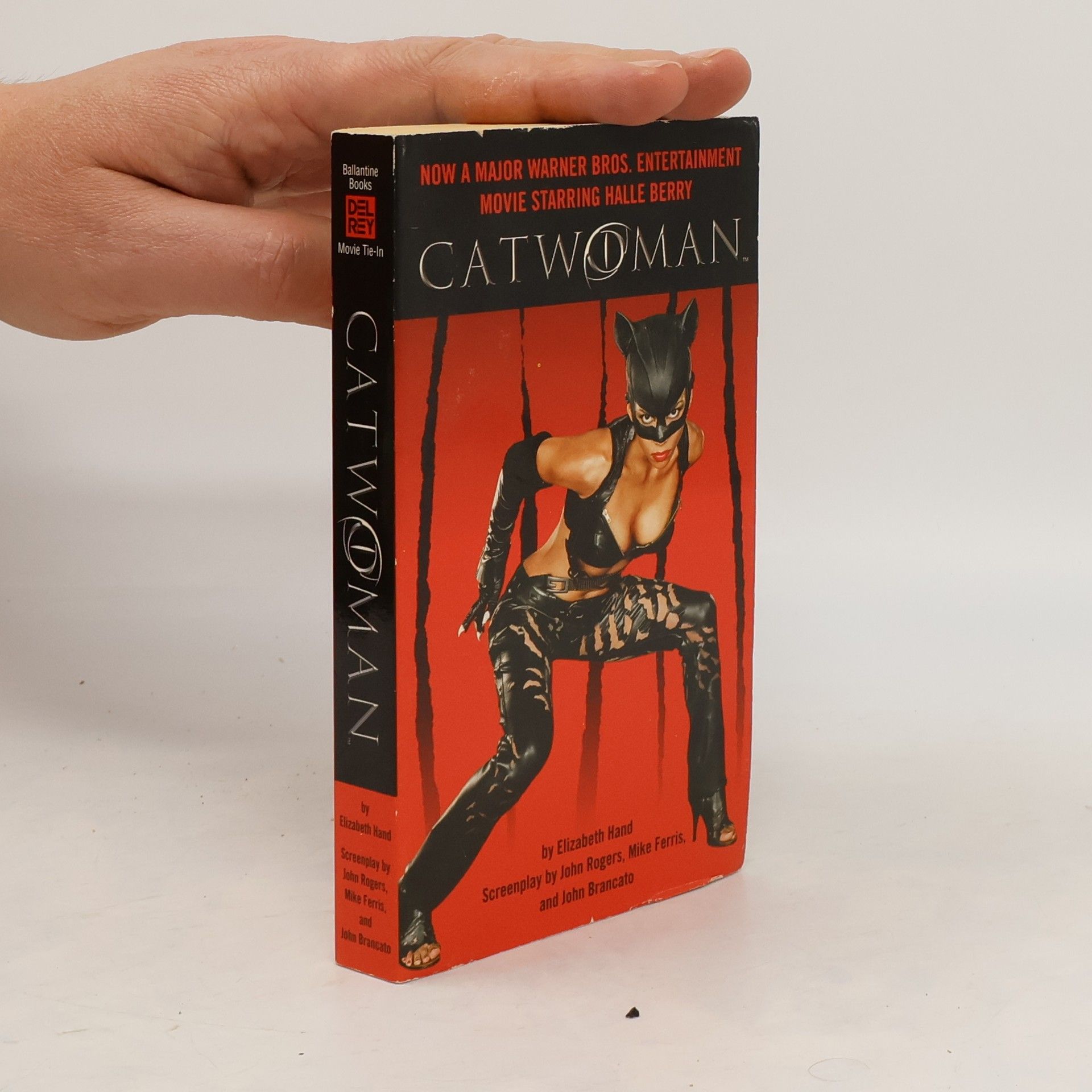 Elizabeth Hand Catwoman