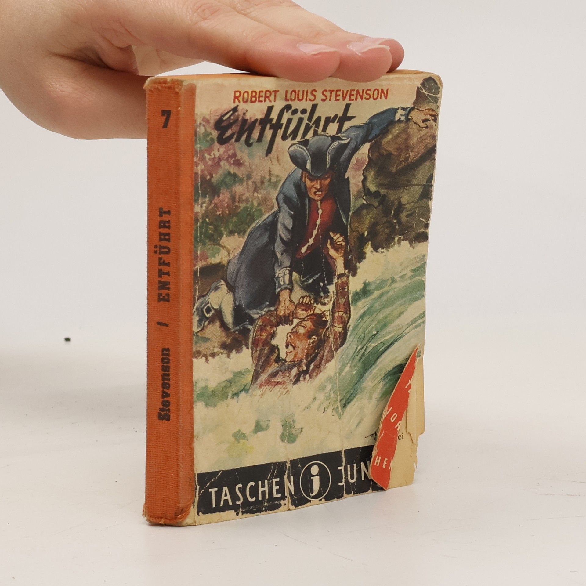 Robert Louis Stevenson Entführt 7