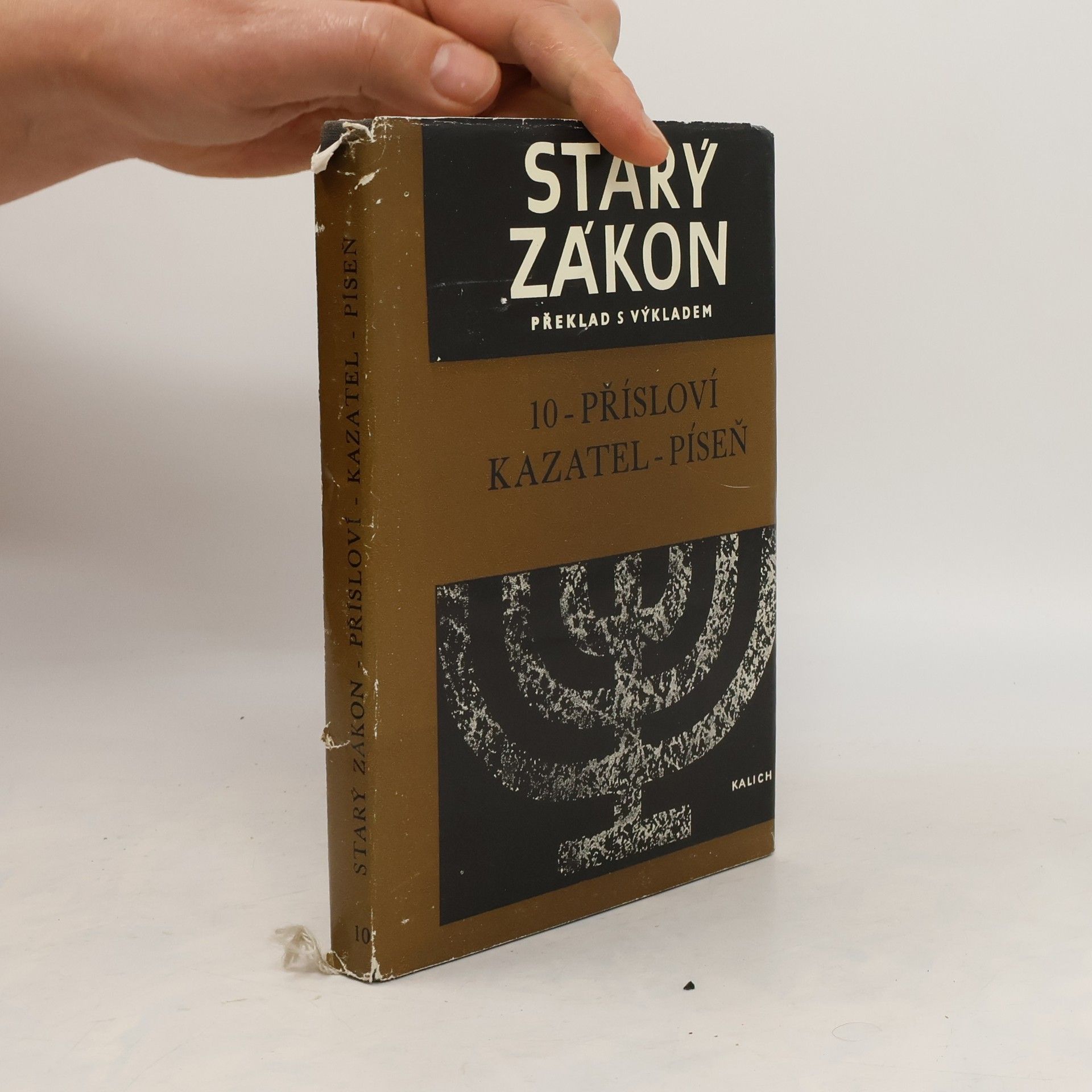 Autorenkollektiv Starý zákon překlad s výkladem 10. Přísloví. Kazatel. Píseň.