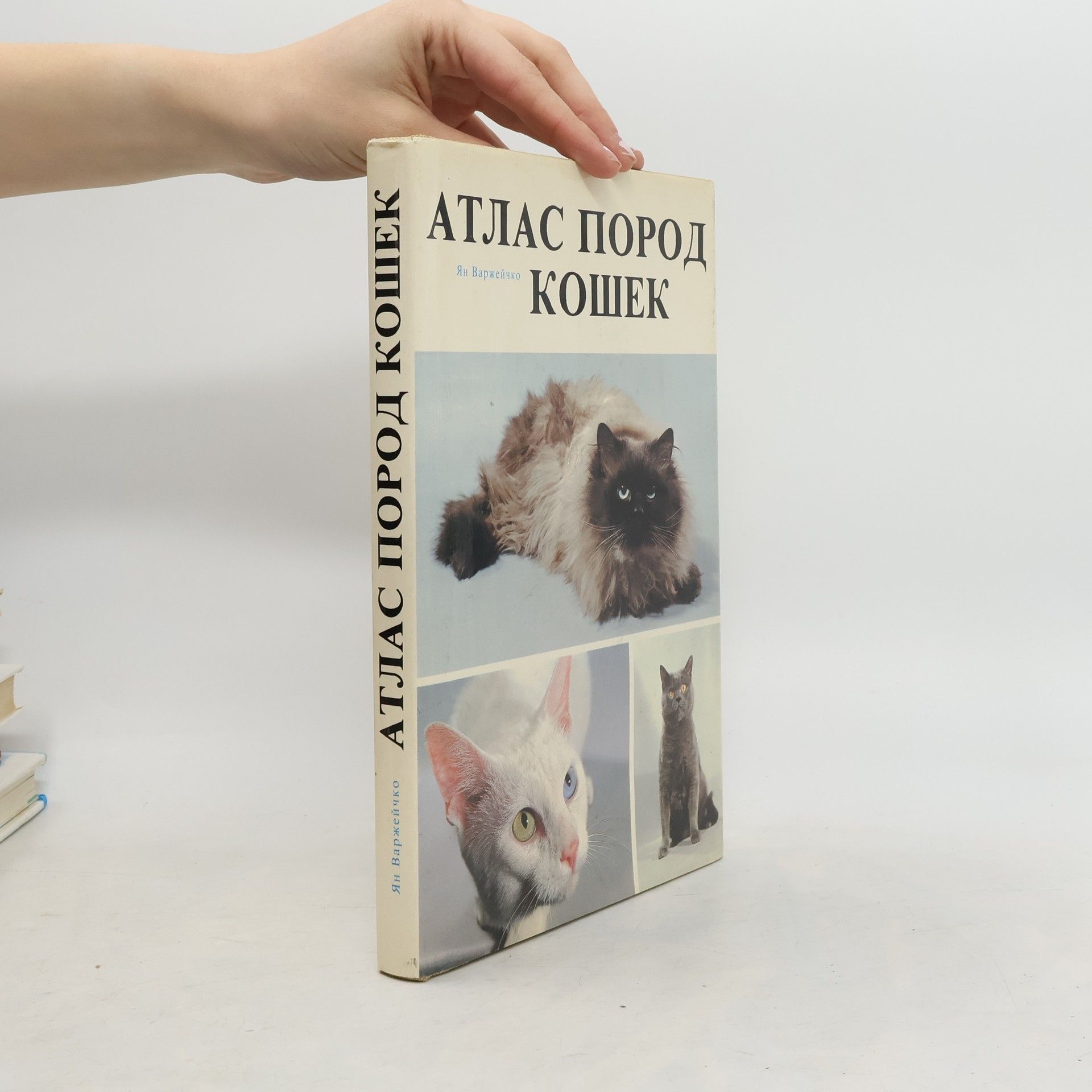 Autorenkollektiv Aтлас пород кошек