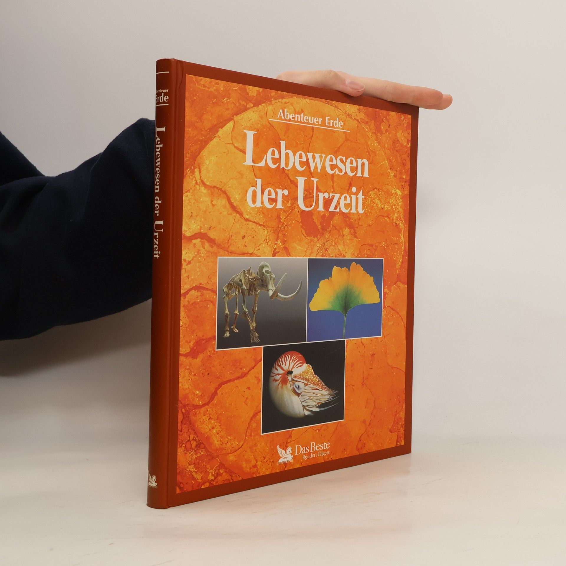 Douglas Palmer Lebewesen der Urzeit