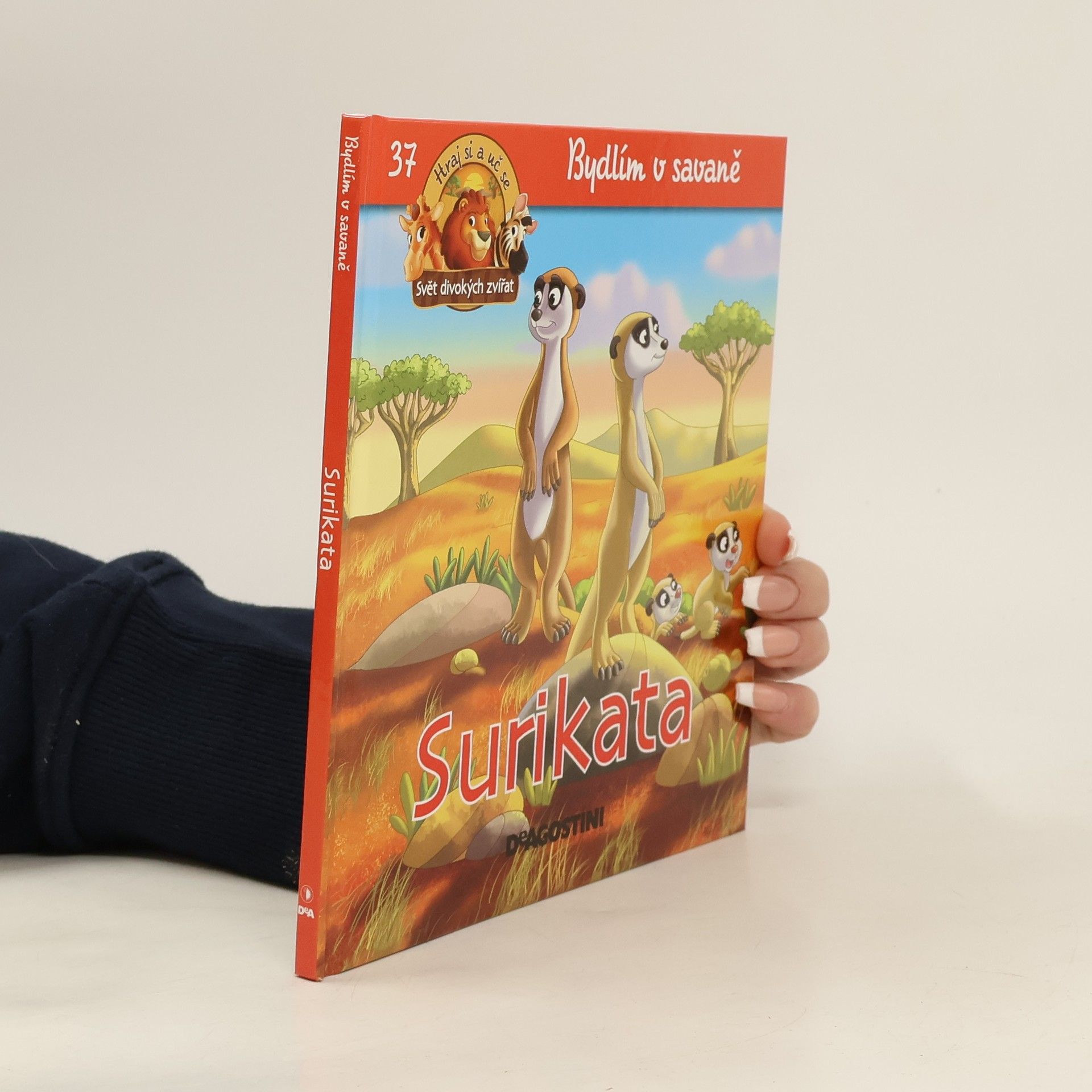 kolektiv Bydlím v Savaně 37. Surikata