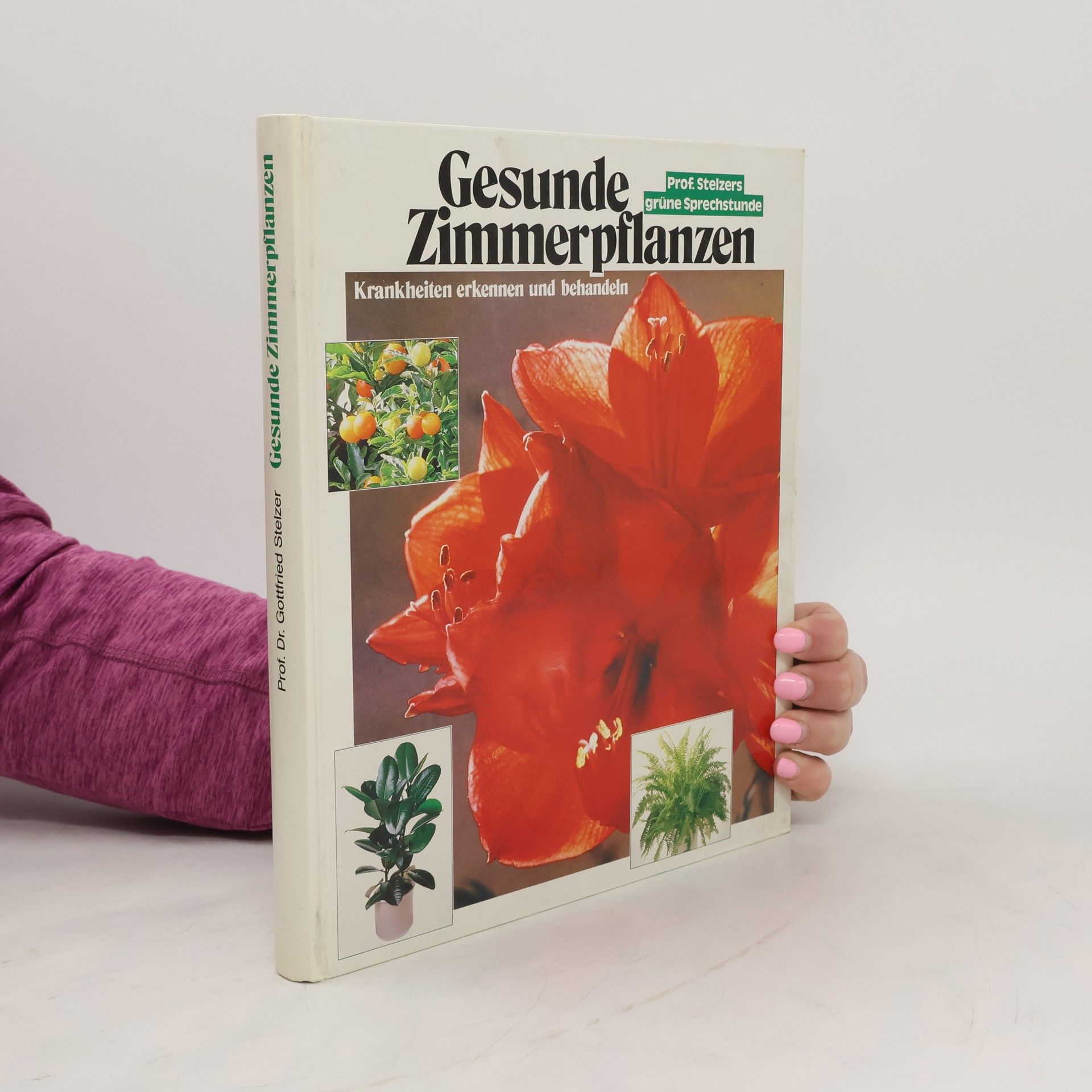 Collectif d'auteurs Gesunde Zimmerpflanzen