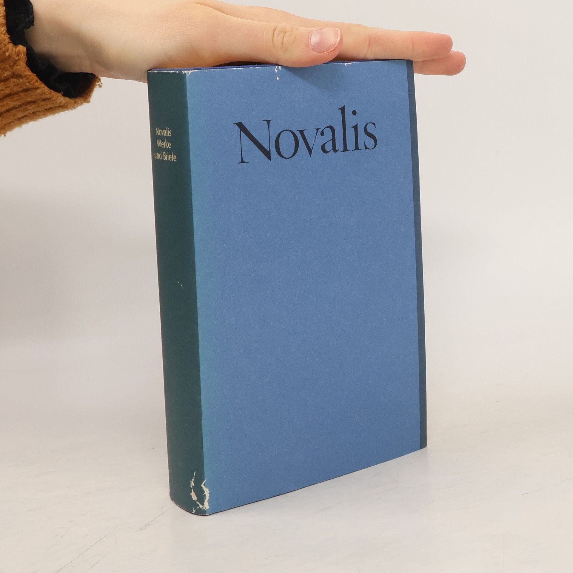Novalis Novalis. Werke und Briefe