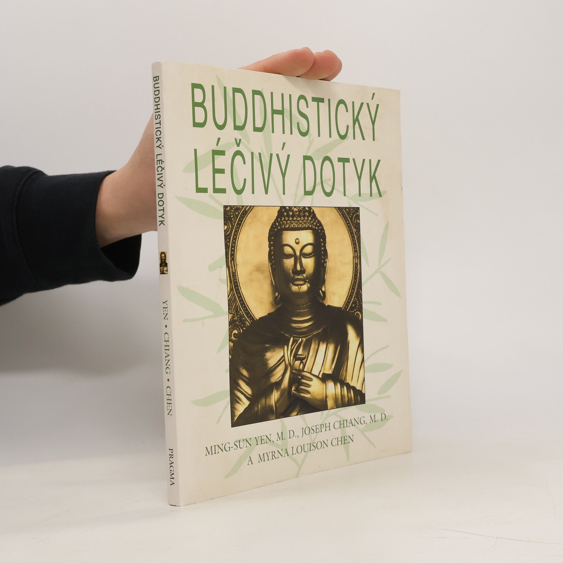 Ming Sun Yen Buddhistický léčivý dotyk