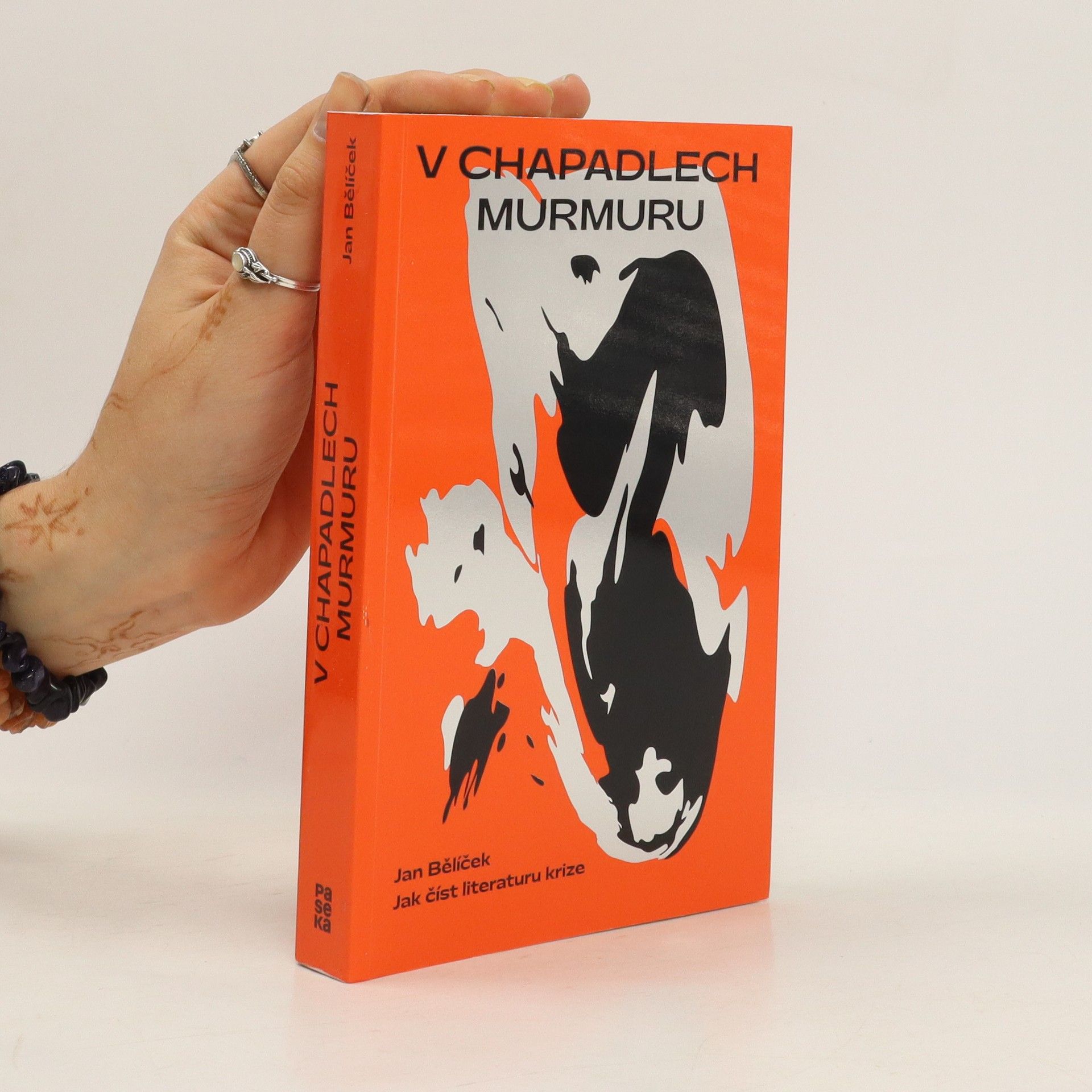 Jan Bělíček V chapadlech murmuru : jak číst literaturu krize