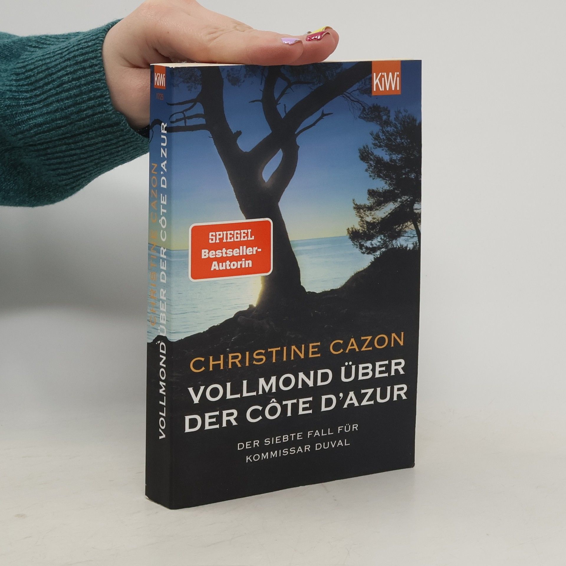 Christine Cazon Vollmond über der Côte d'Azur
