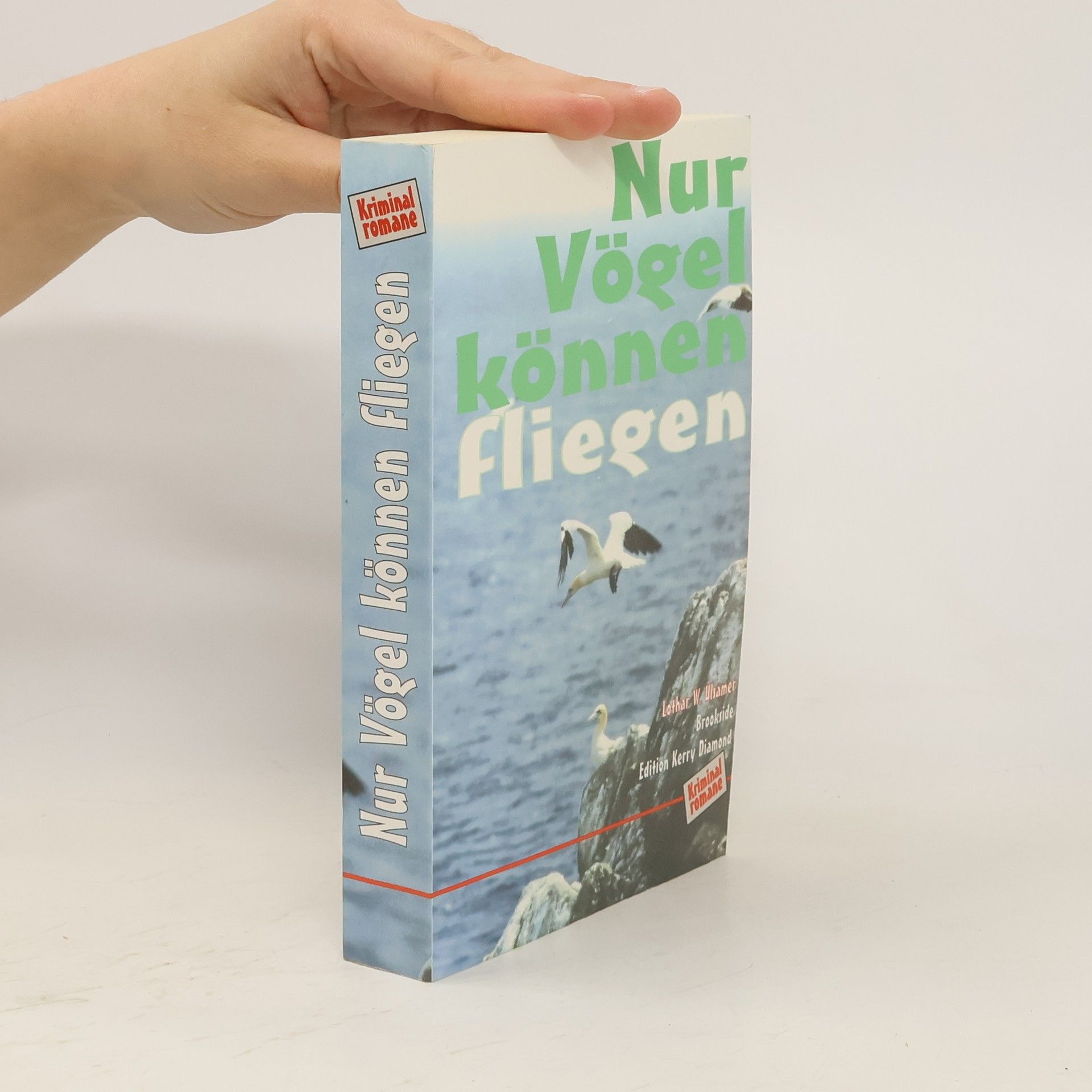Lothar Ulsamer Nur Vögel können fliegen