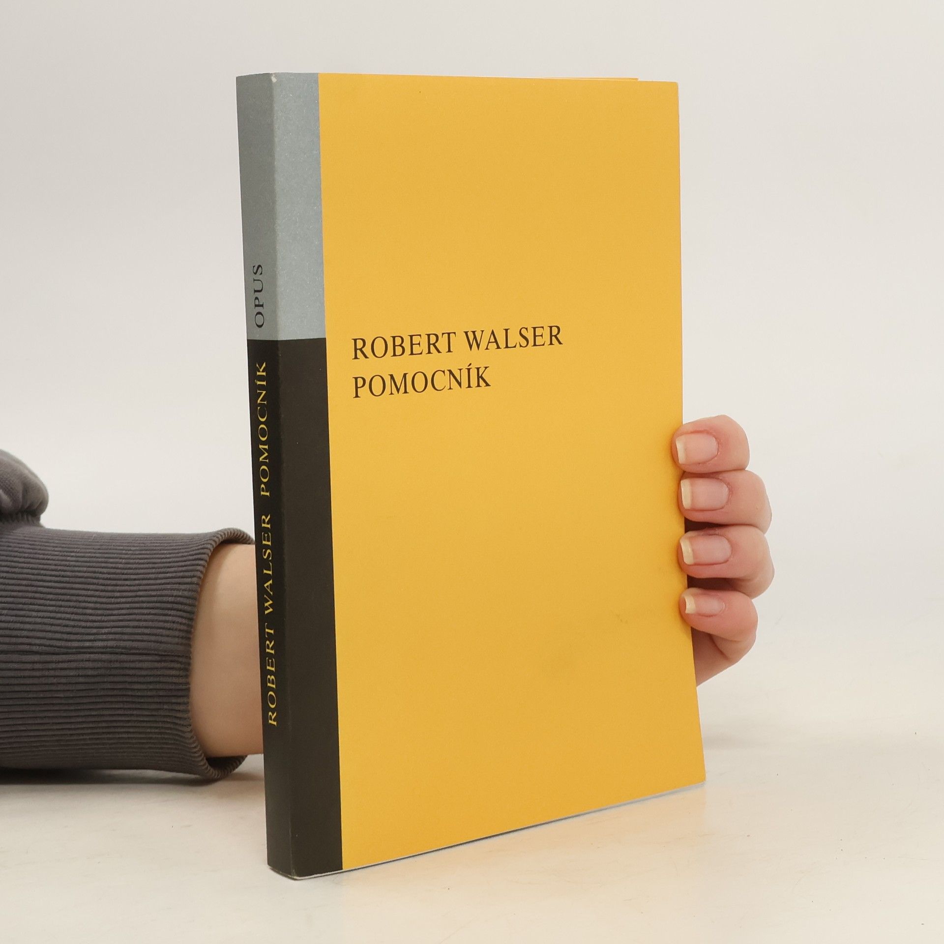 Robert Walser Pomocník