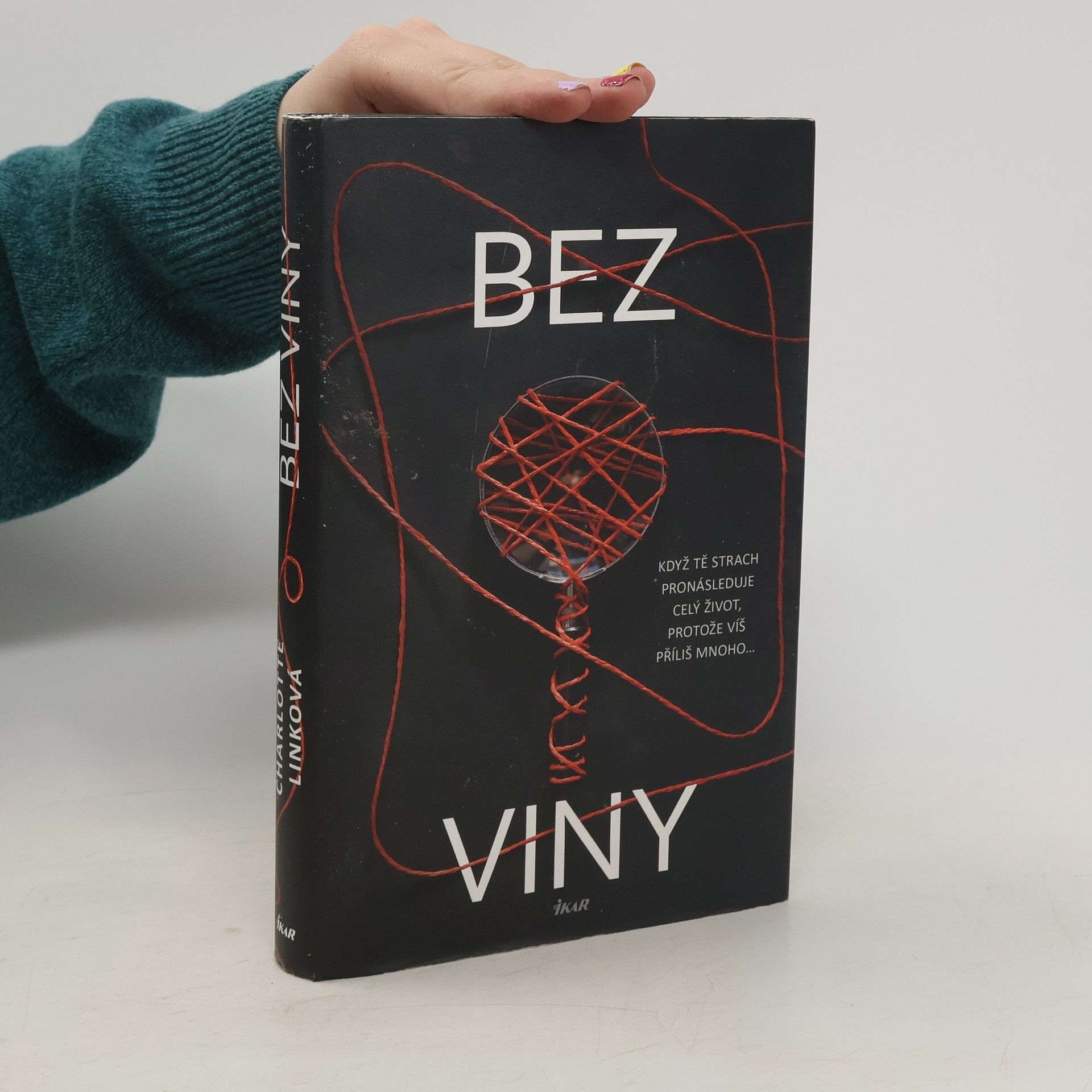 Charlotte Link Bez viny