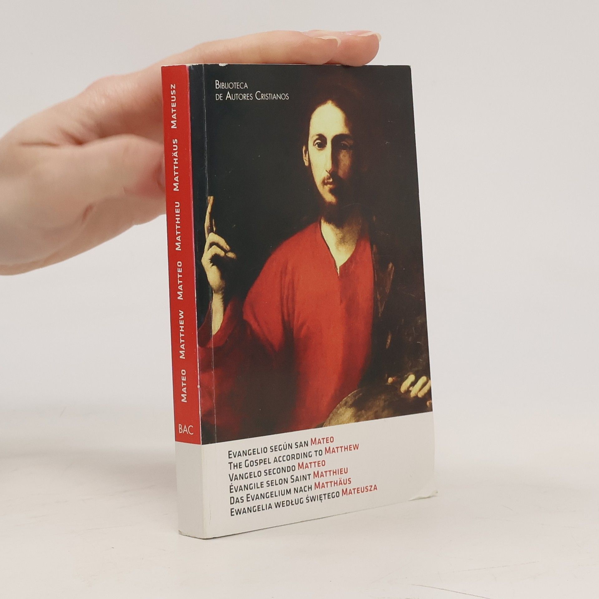 Autores varios Evangelio según san Mateo = The Gospel according to Matthew = Vangelo secondo Matteo = Évangile selon Saint Matthieu = Das Evangelium nach Matthäus = Ewangelia wedlug swietego Mateusza