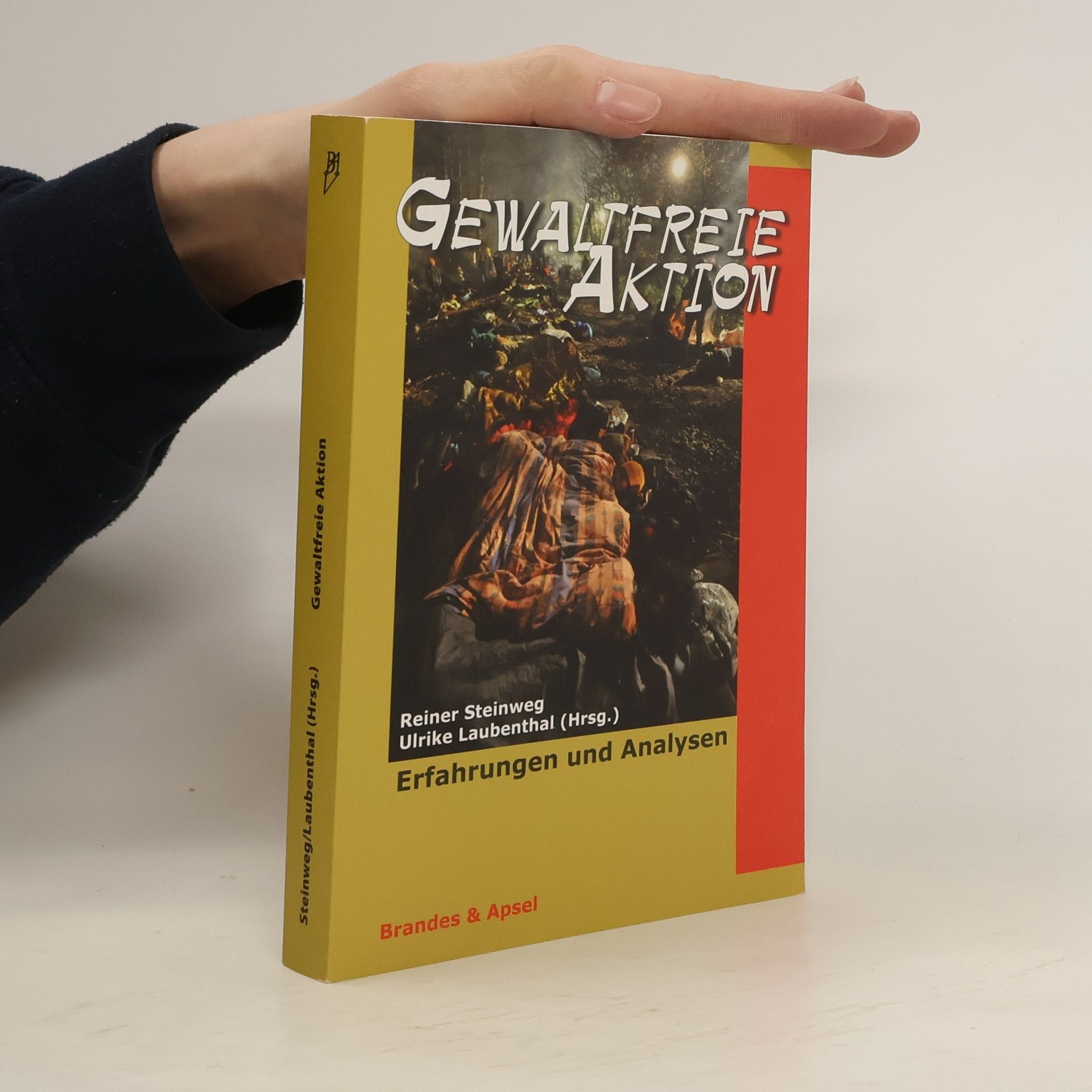 Reiner Steinweg Gewaltfreie Aktion