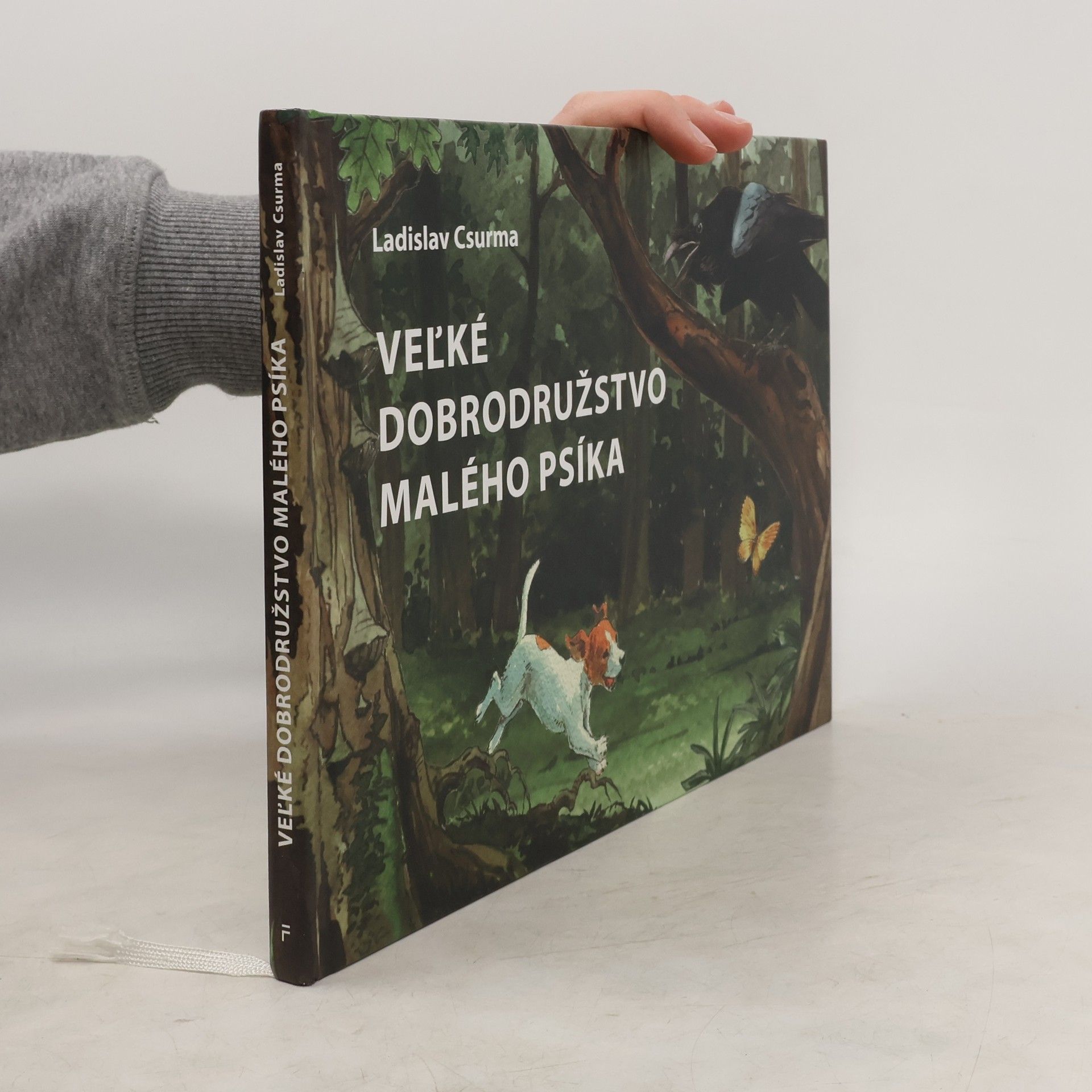 Ladislav Csurma Veľké dobrodružstvo malého psíka