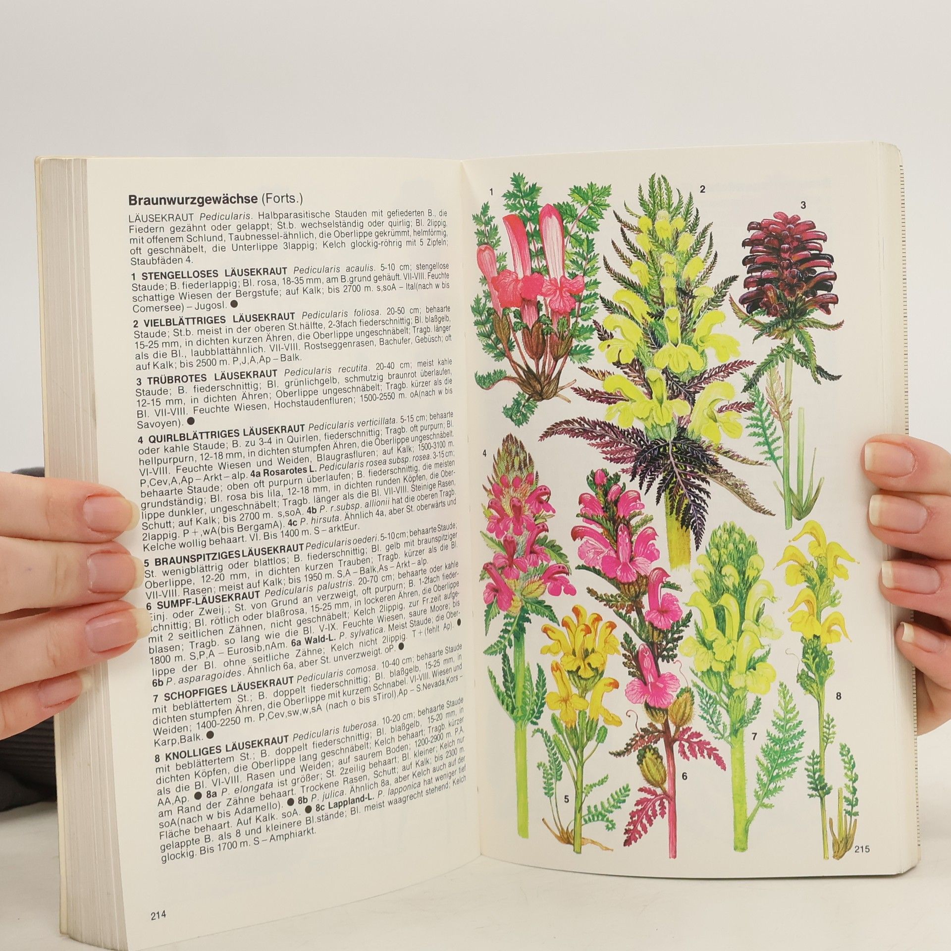 C. GreyWilson Pareys Bergblumenbuch