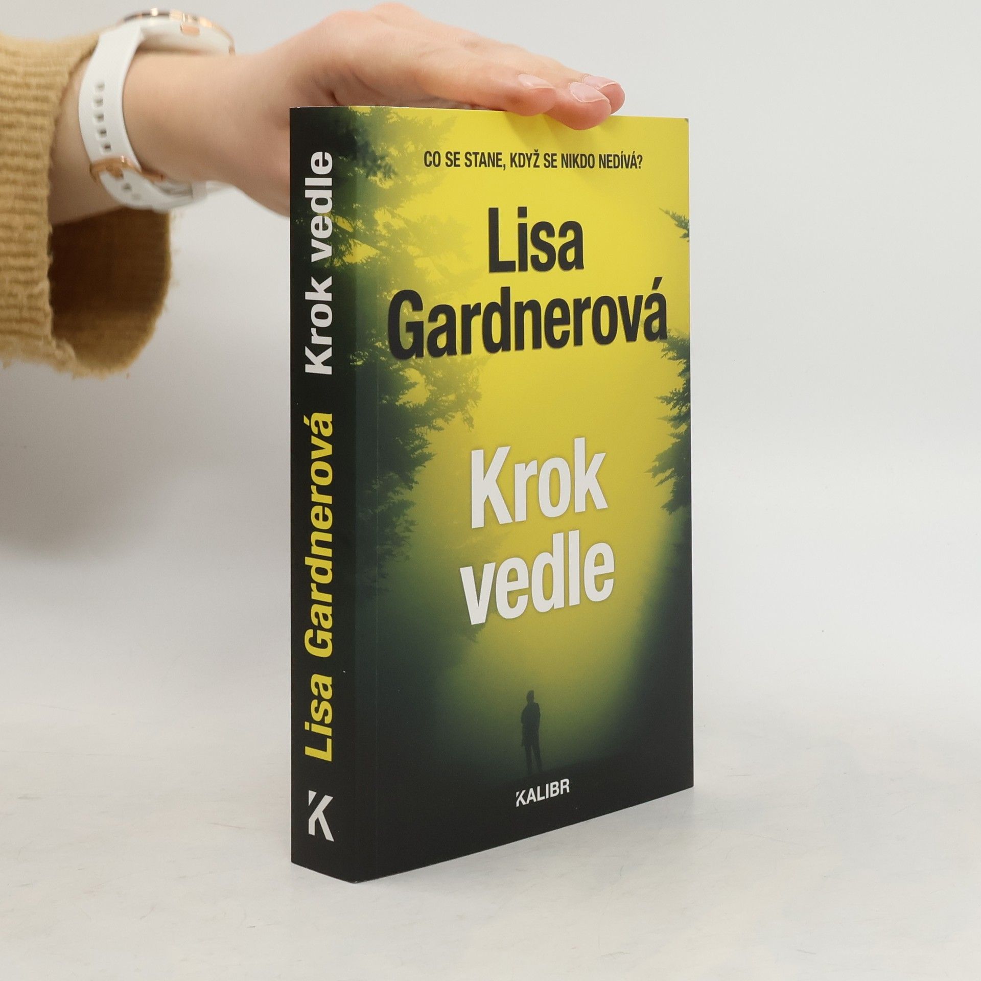 Lisa Gardner Krok vedle