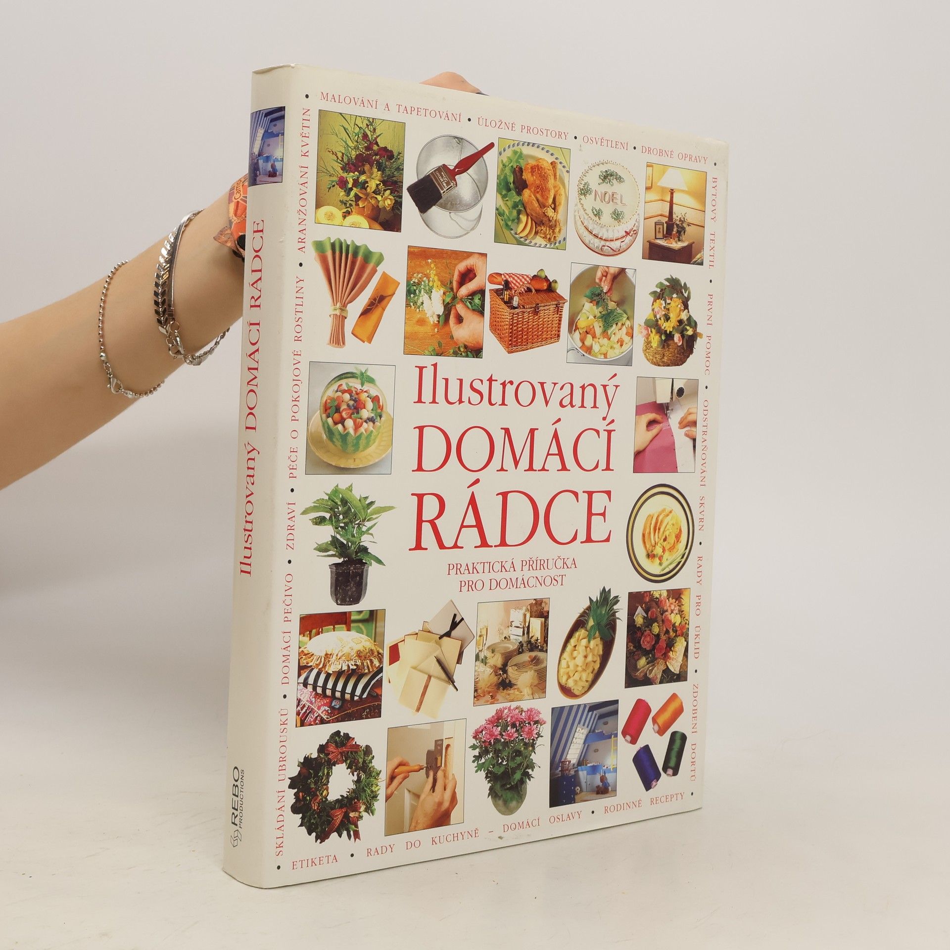 Dana Vaněčková Ilustrovaný domácí rádce
