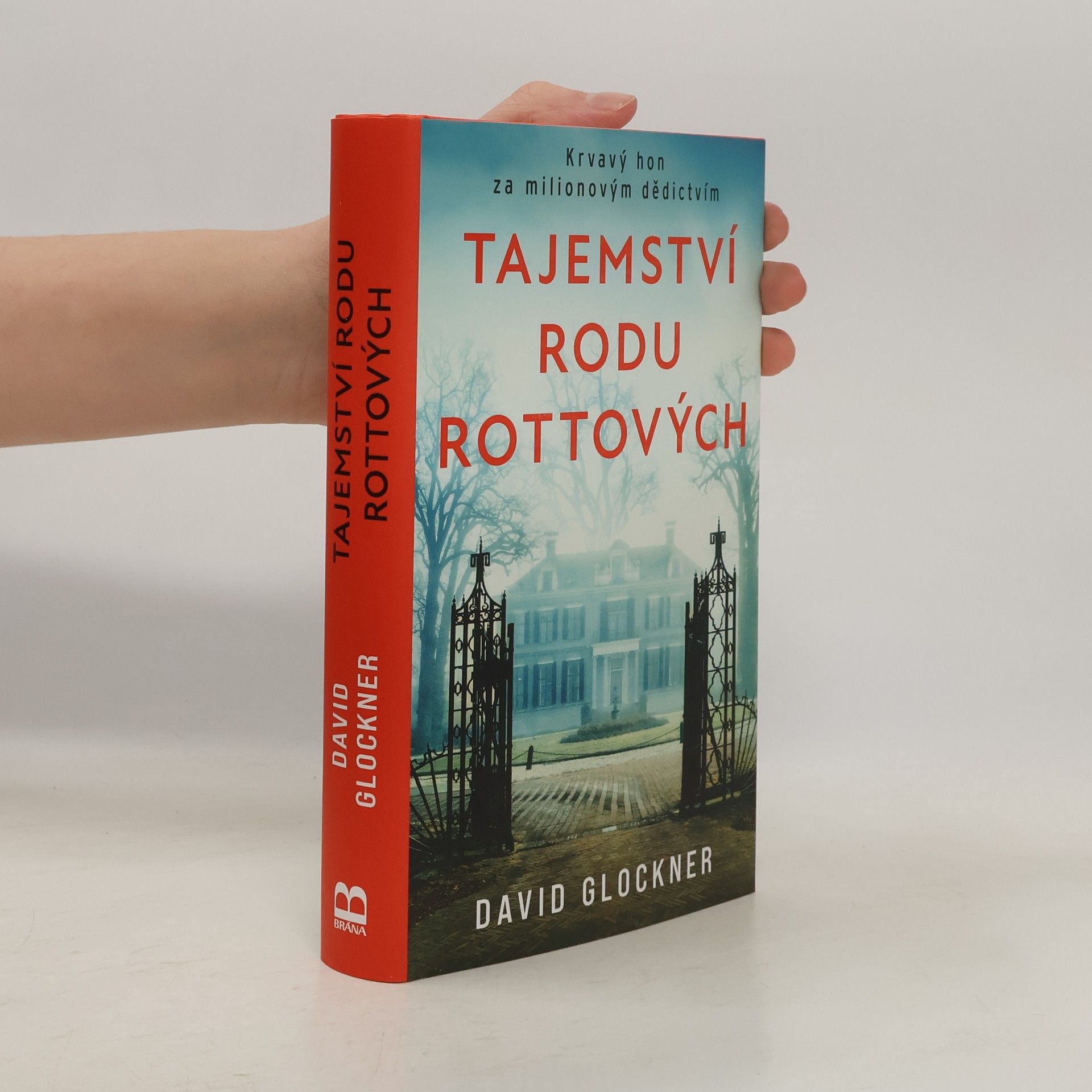 David Glockner Tajemství rodu Rottových