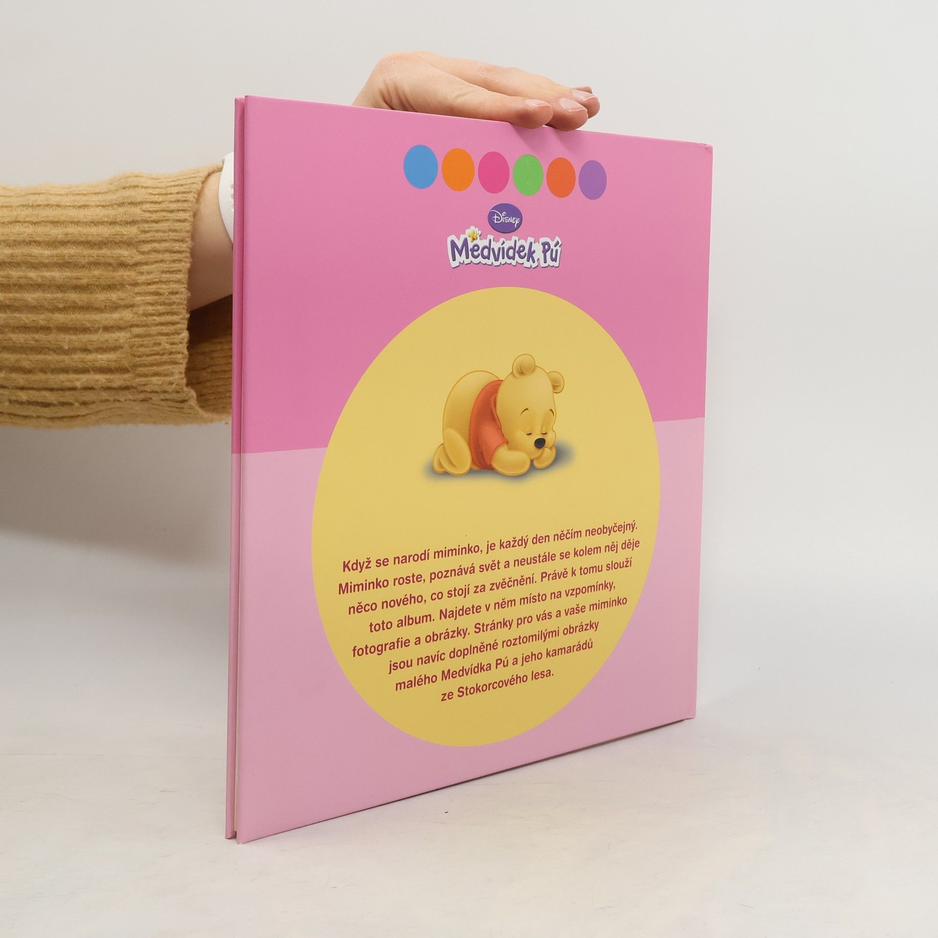 Kolektiv autorů Moje první knížka: album vzpomínek pro nejmenší a jejich rodiče (medvídek Pú)