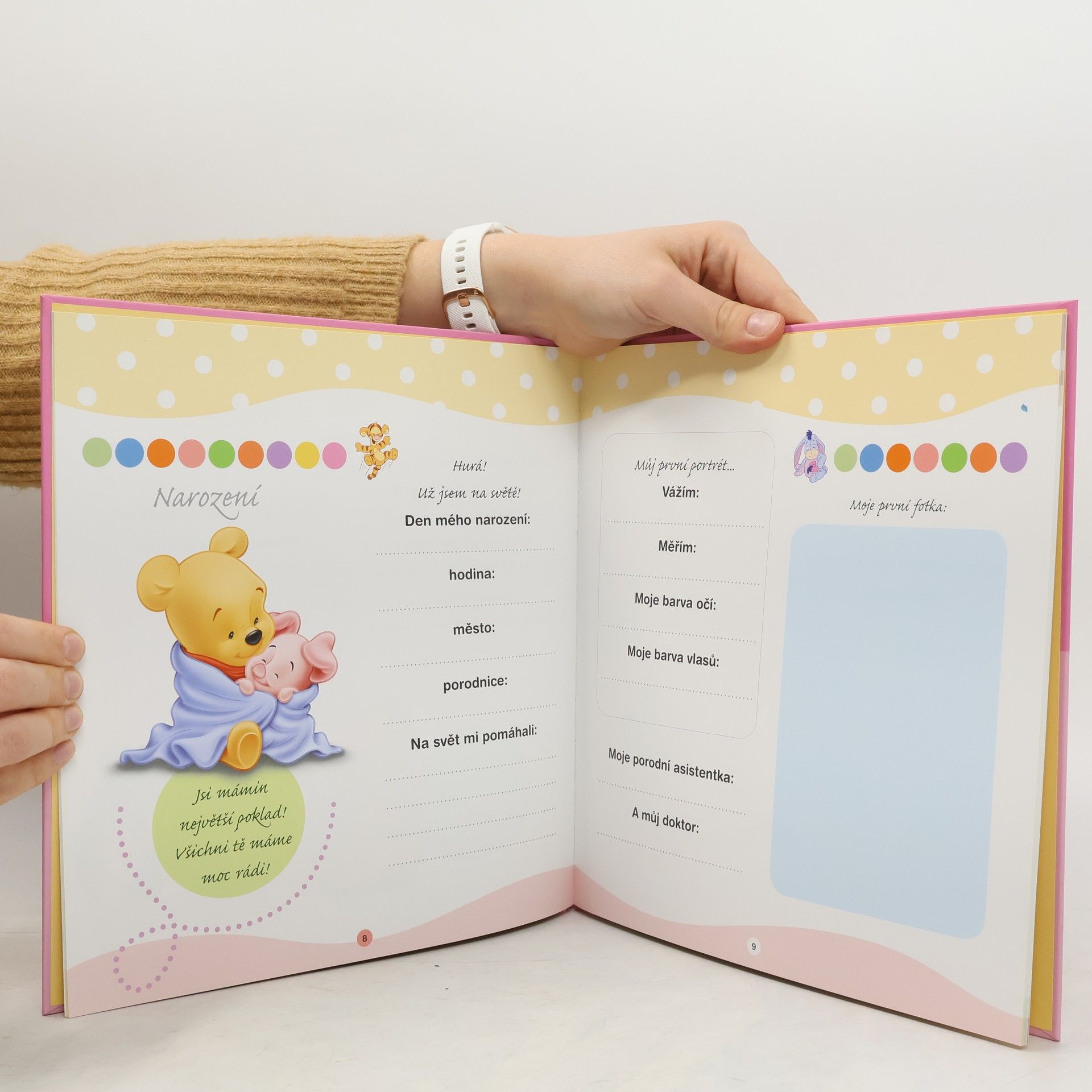 Kolektiv autorů Moje první knížka: album vzpomínek pro nejmenší a jejich rodiče (medvídek Pú)