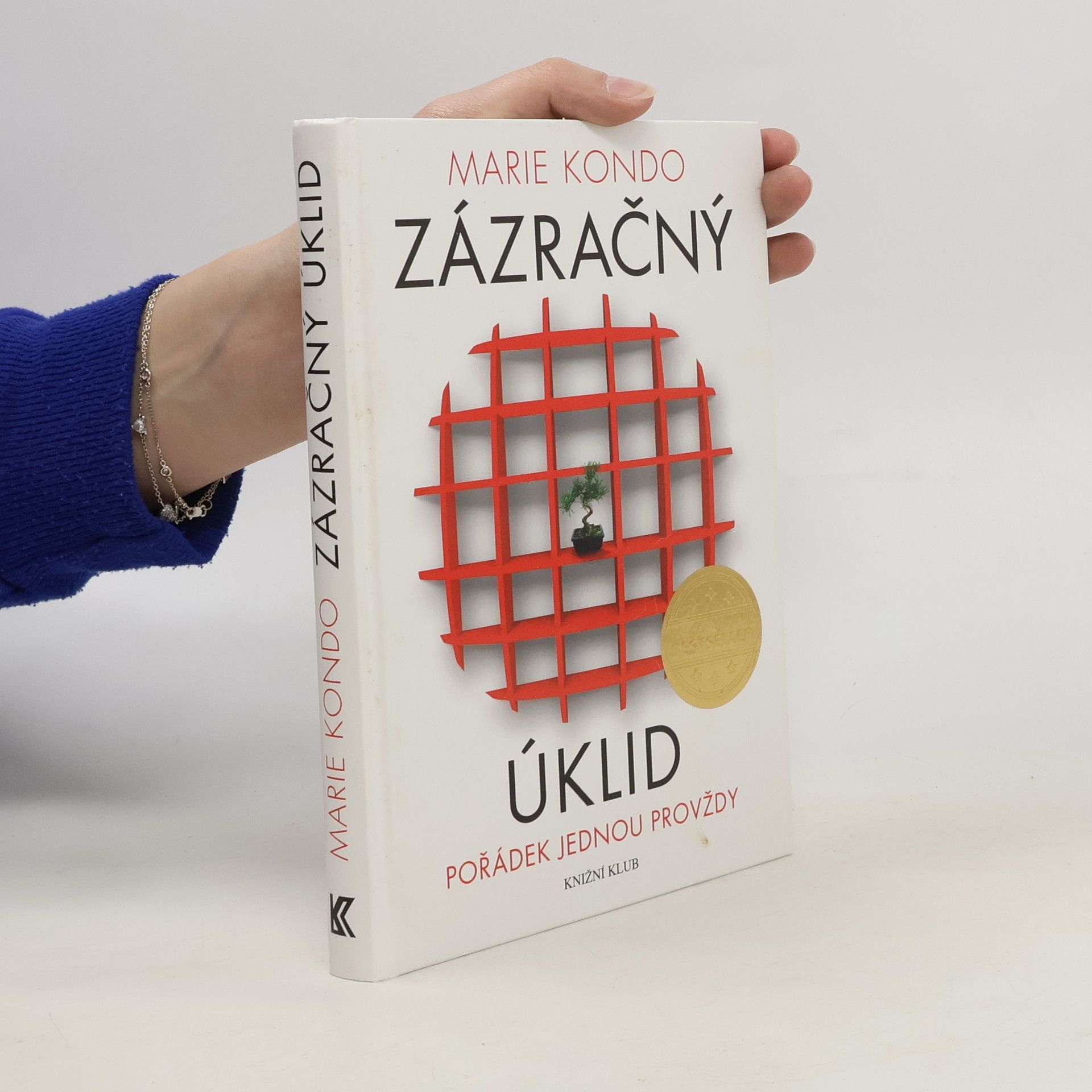 Marie Kondo Zázračný úklid