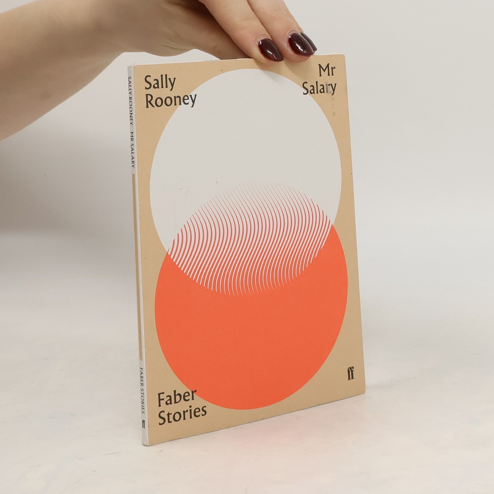 Sally Rooney Mr Salary