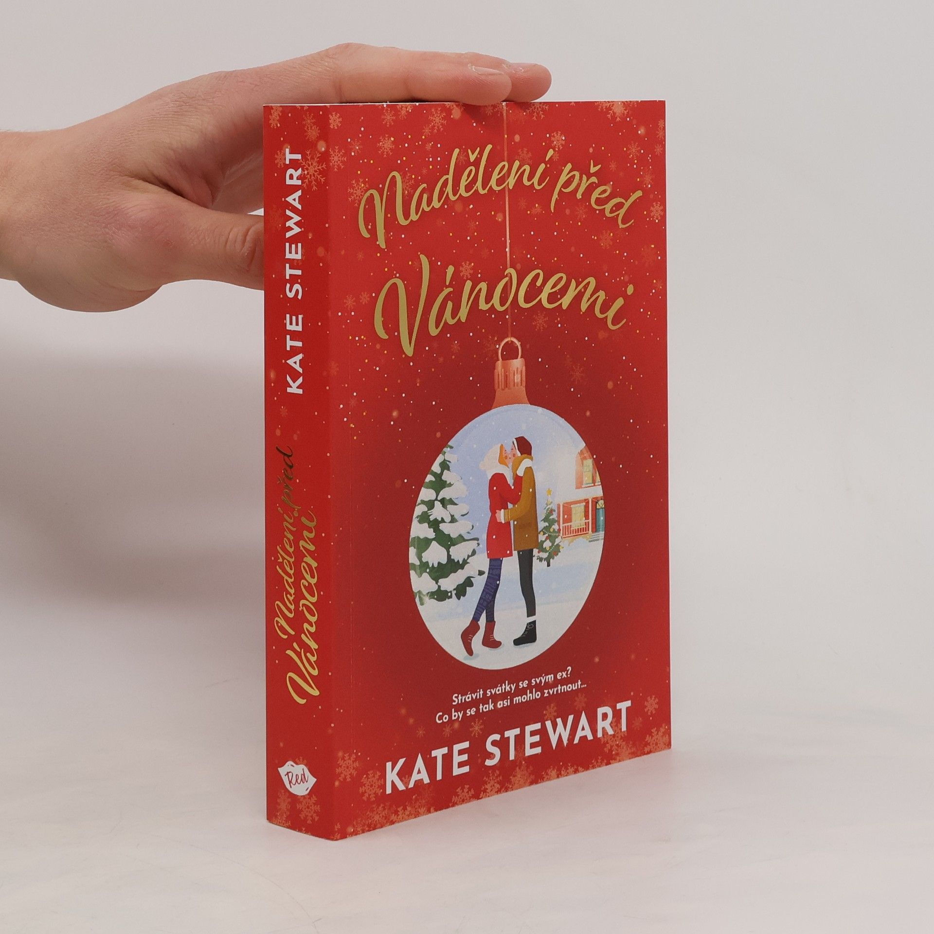 Kate Stewart Nadělení před Vánocemi