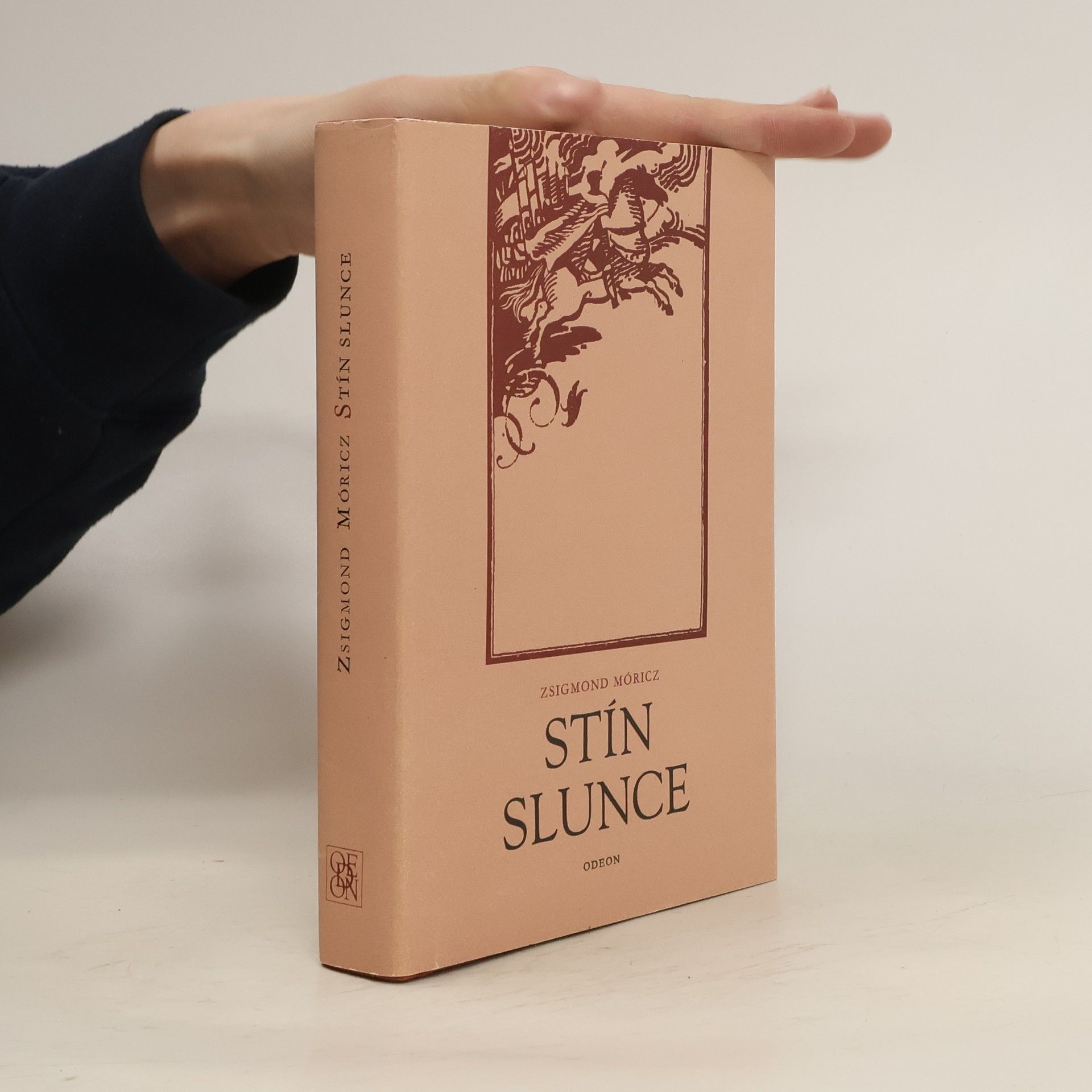 Zsigmond Móricz Stín slunce