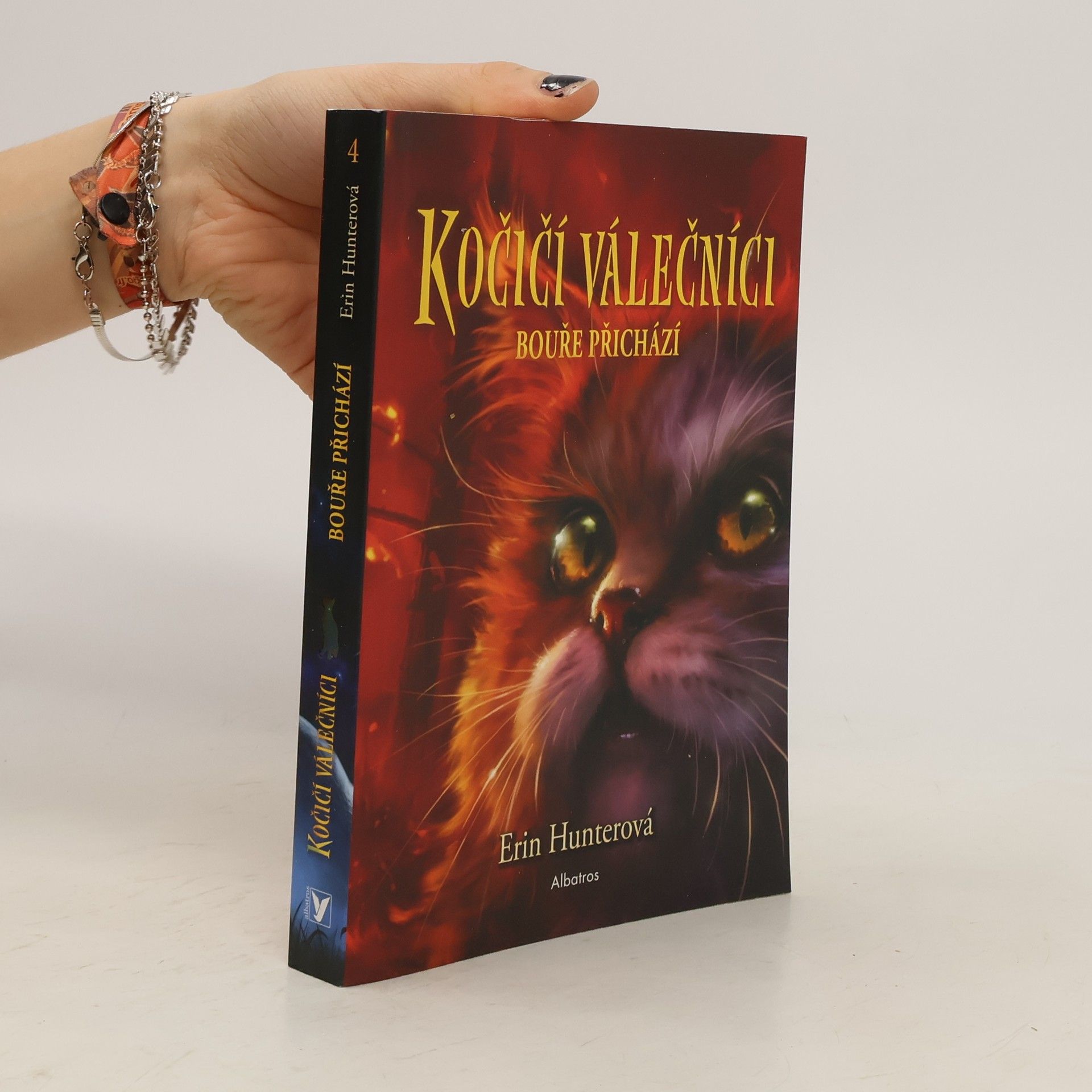 Erin Hunter Kočičí válečníci. Bouře přichází