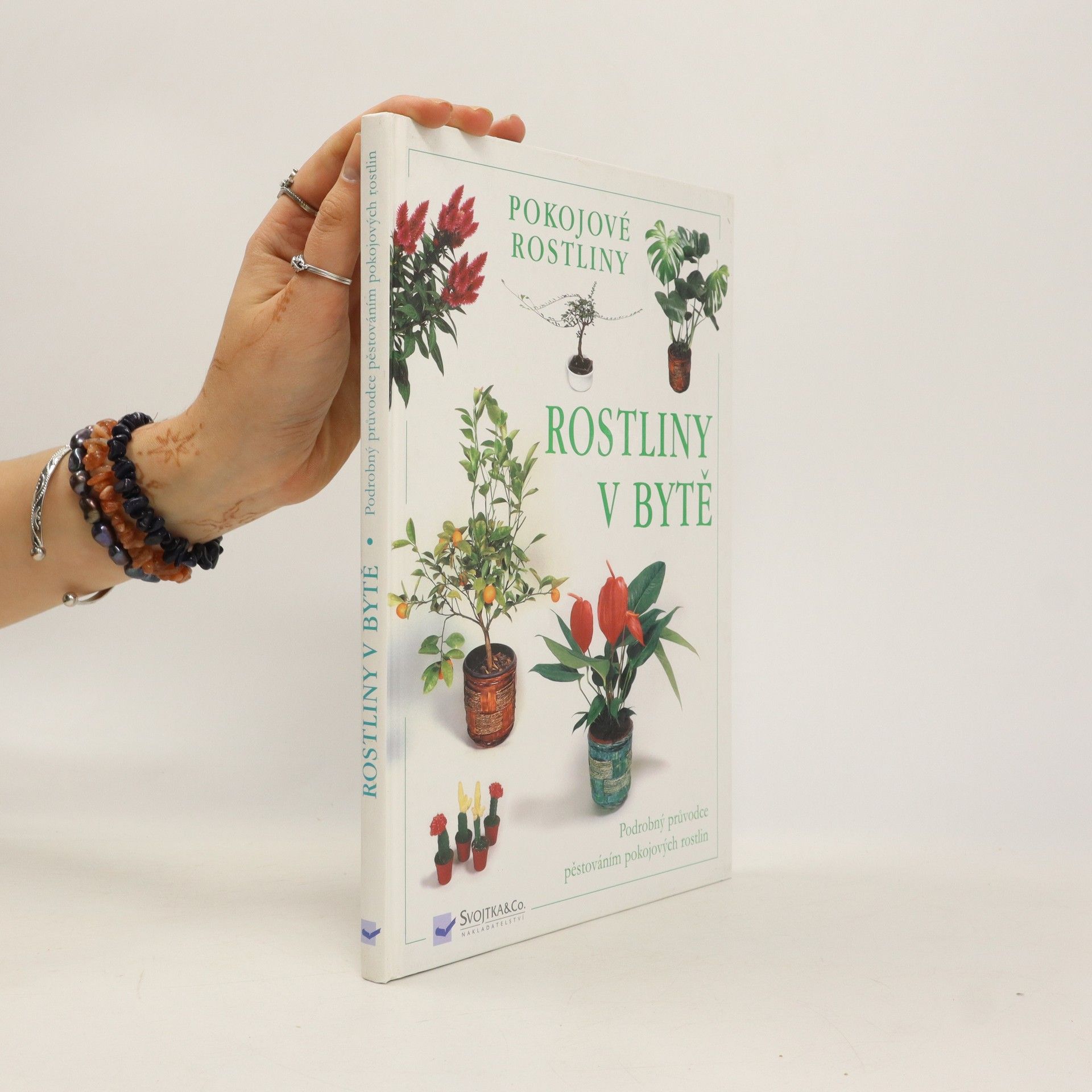 Collectif d'auteurs Rostliny v bytě. Pokojové rostliny
