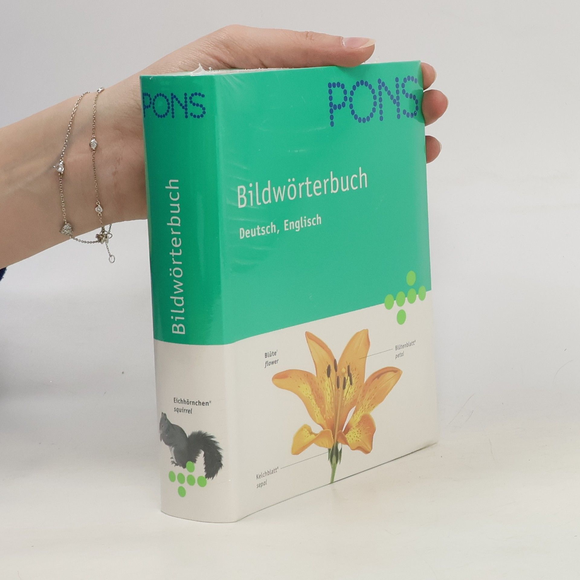 kolektiv Bildwörterbuch