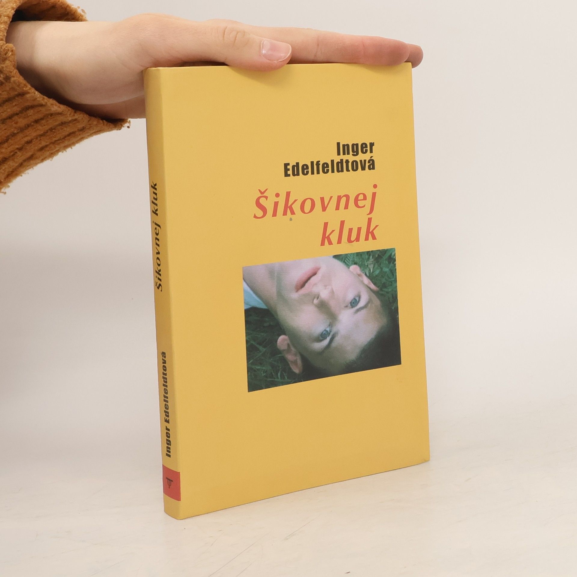 Inger Edelfeldt Šikovnej kluk
