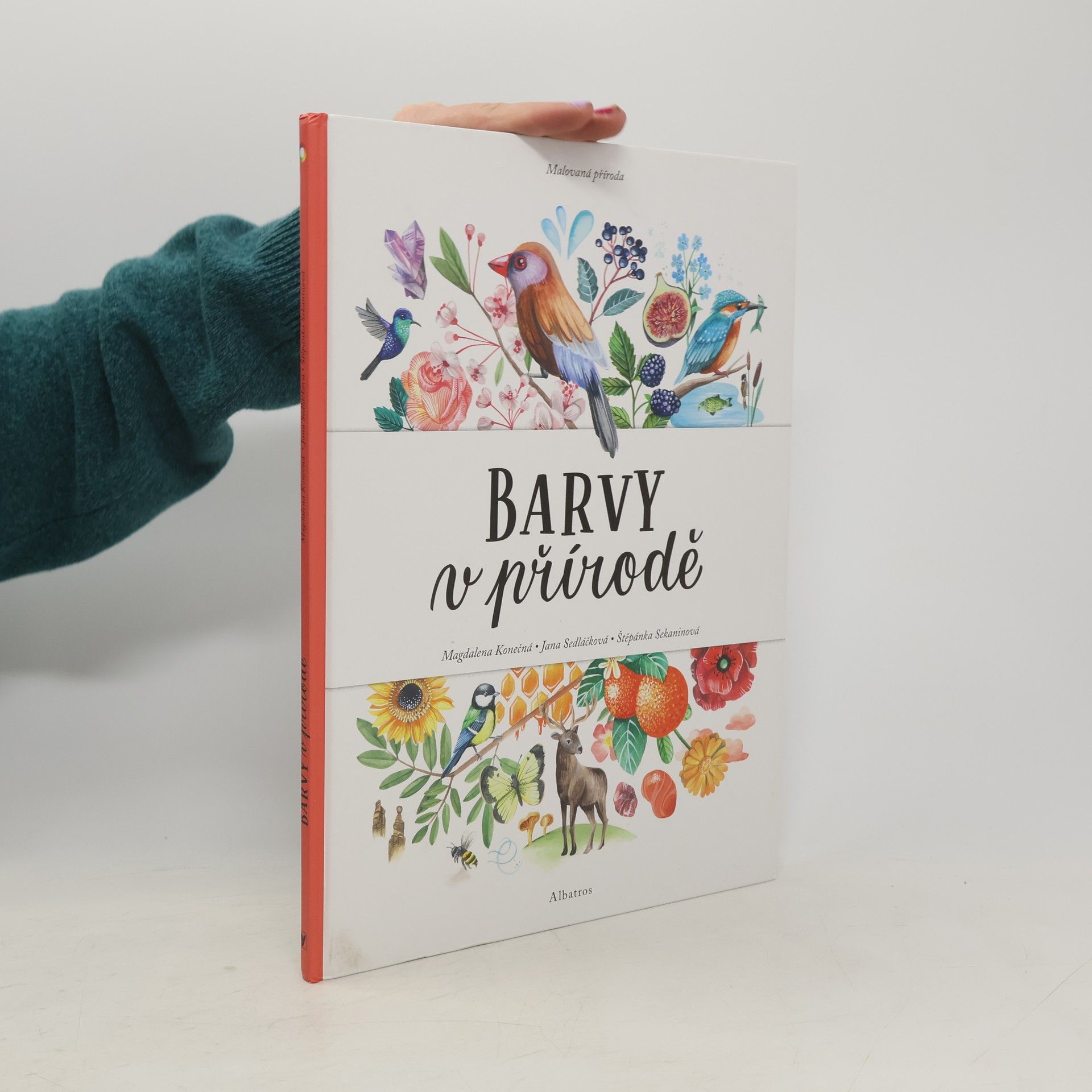 Magdalena Konečná Barvy v přírodě