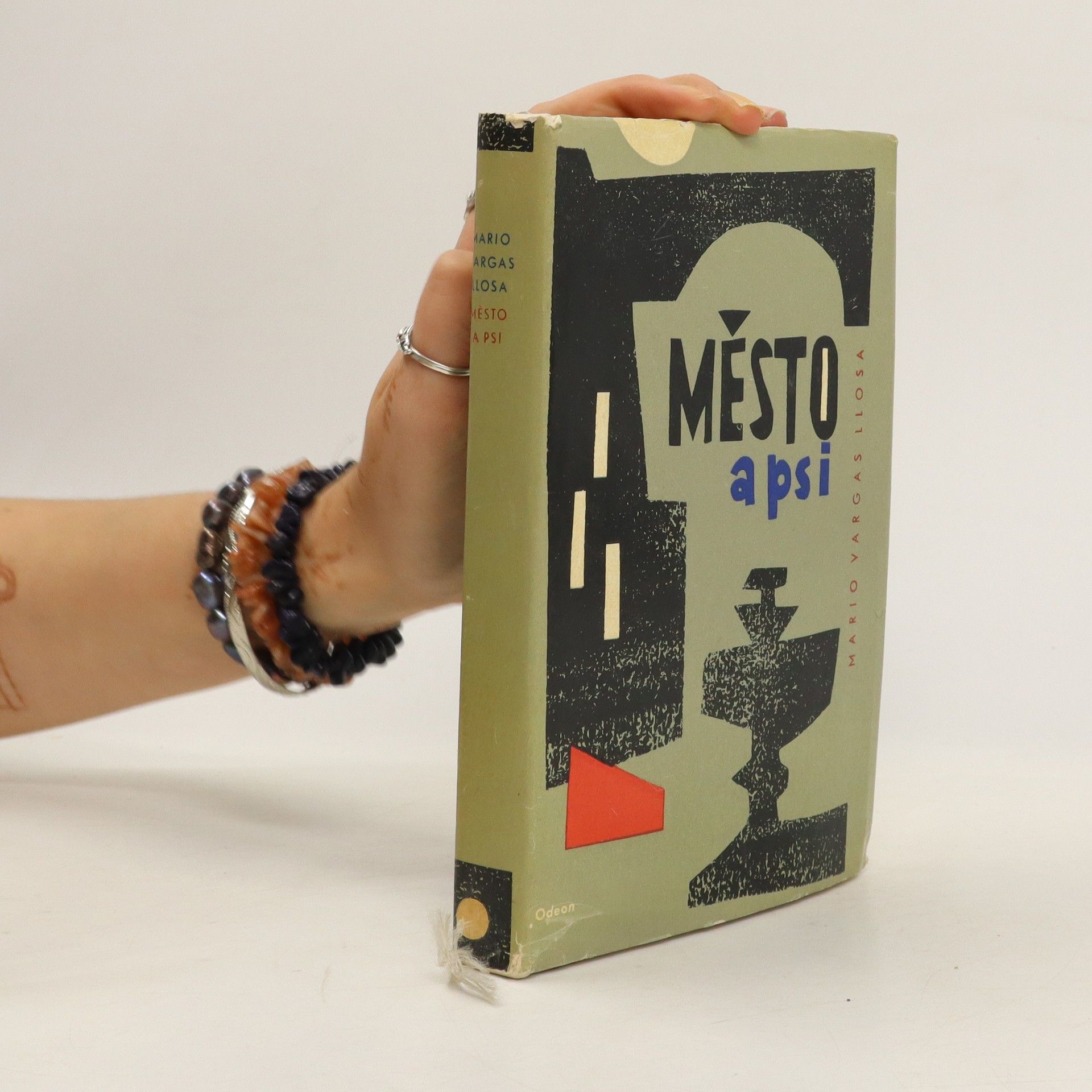 Mario Vargas Llosa Město a psi