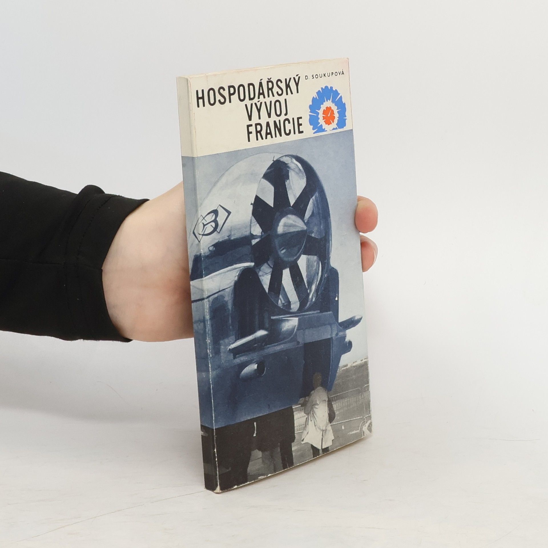Dagmar Soukupová Hospodářský vývoj Francie