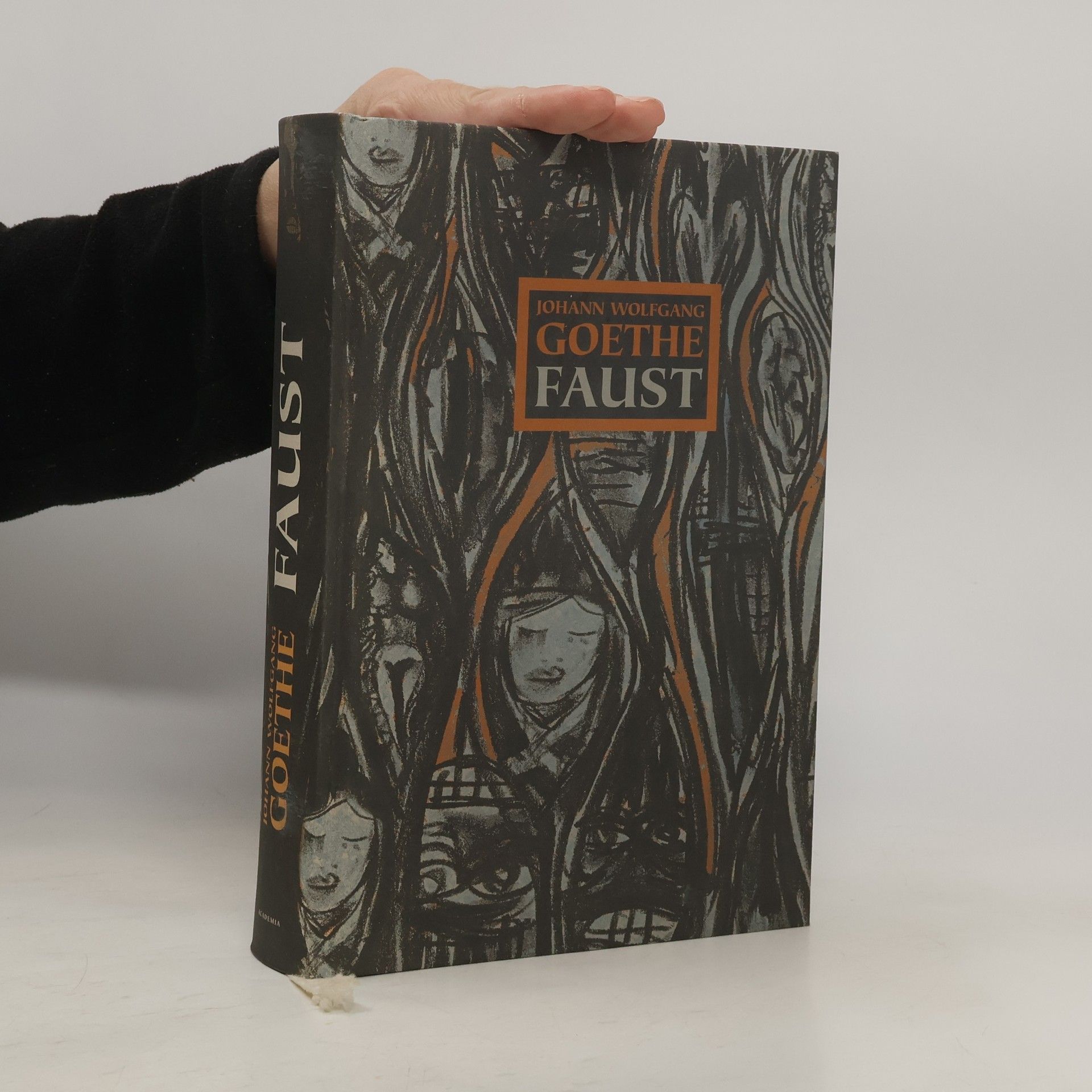 Johann Wolfgang von Goethe Faust