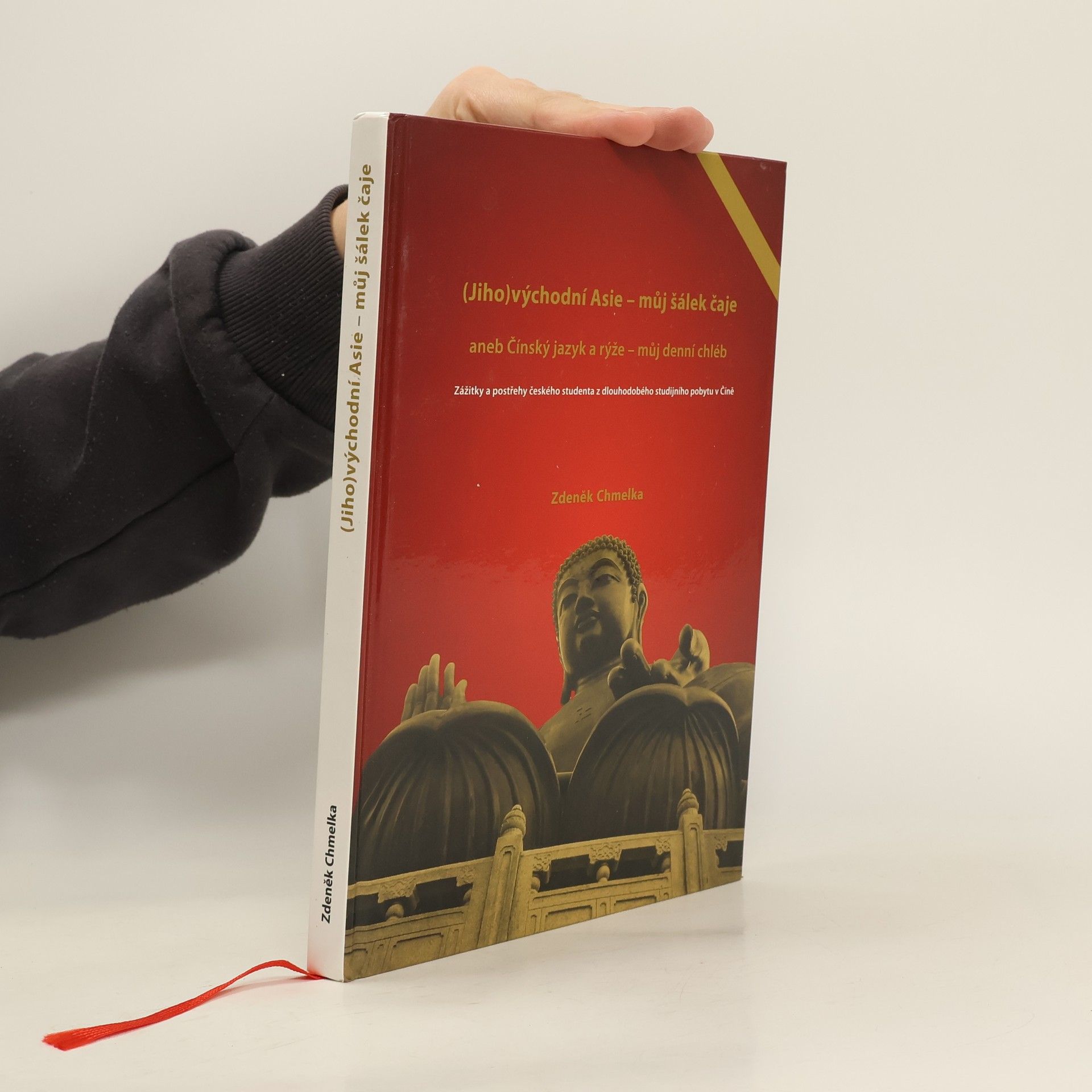 (Jiho)východní Asie - můj šálek čaje, aneb, Čínský jazyk a rýže - můj denní chléb