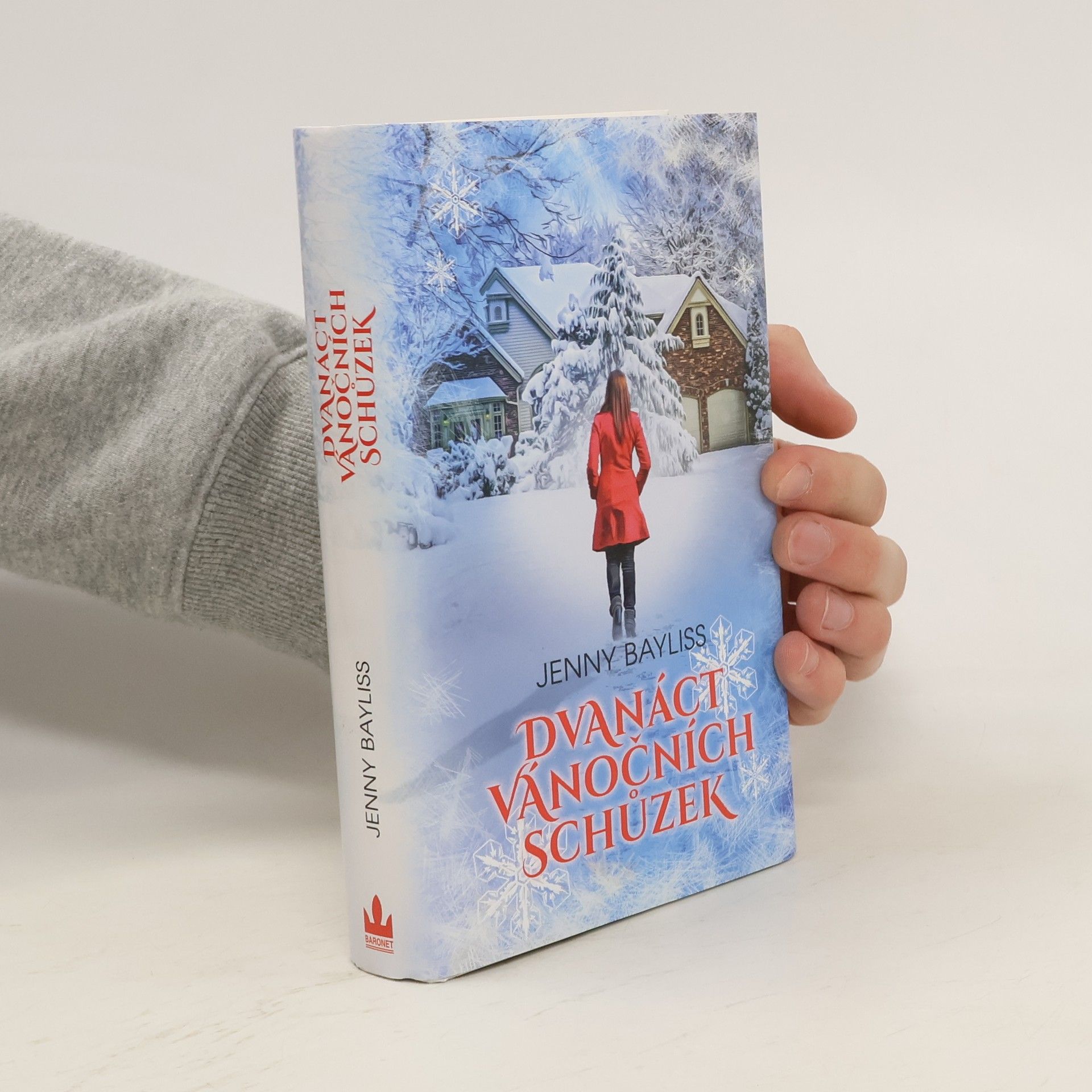 Jenny Bayliss Dvanáct vánočních schůzek