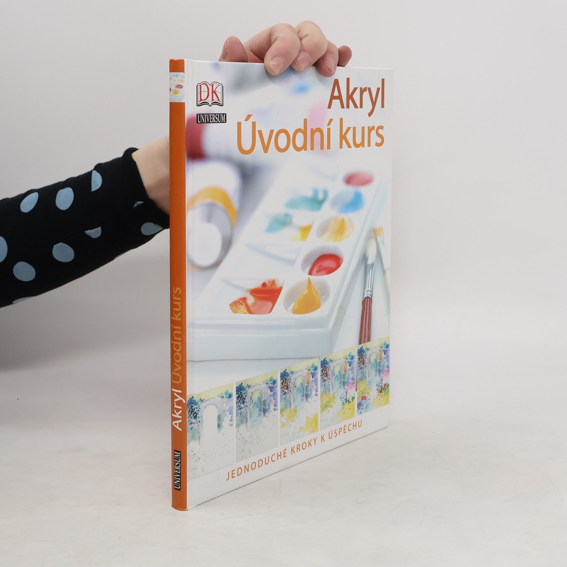Phyllis McDowell Akryl : úvodní kurs