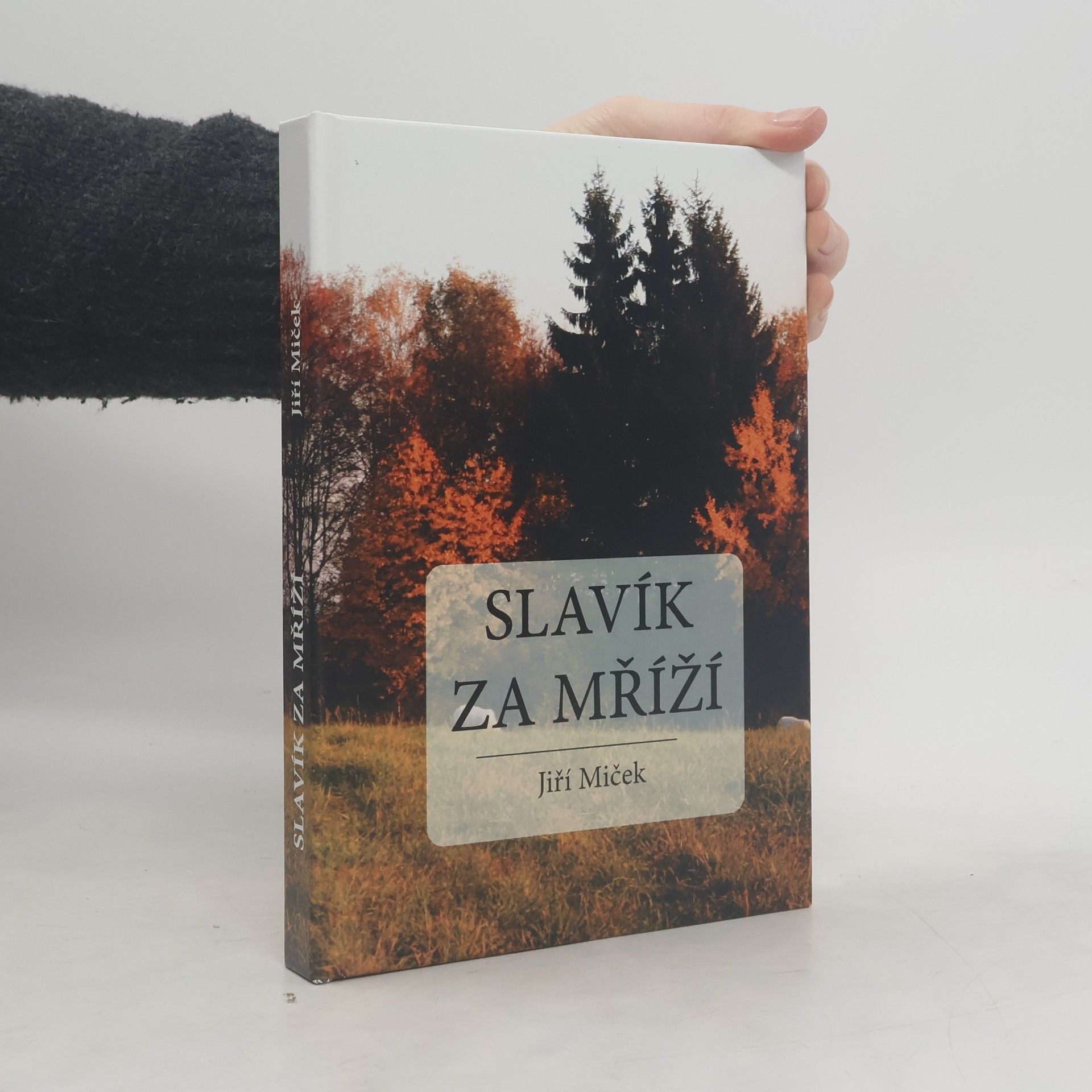 Jiří Miček Slavík za mříží