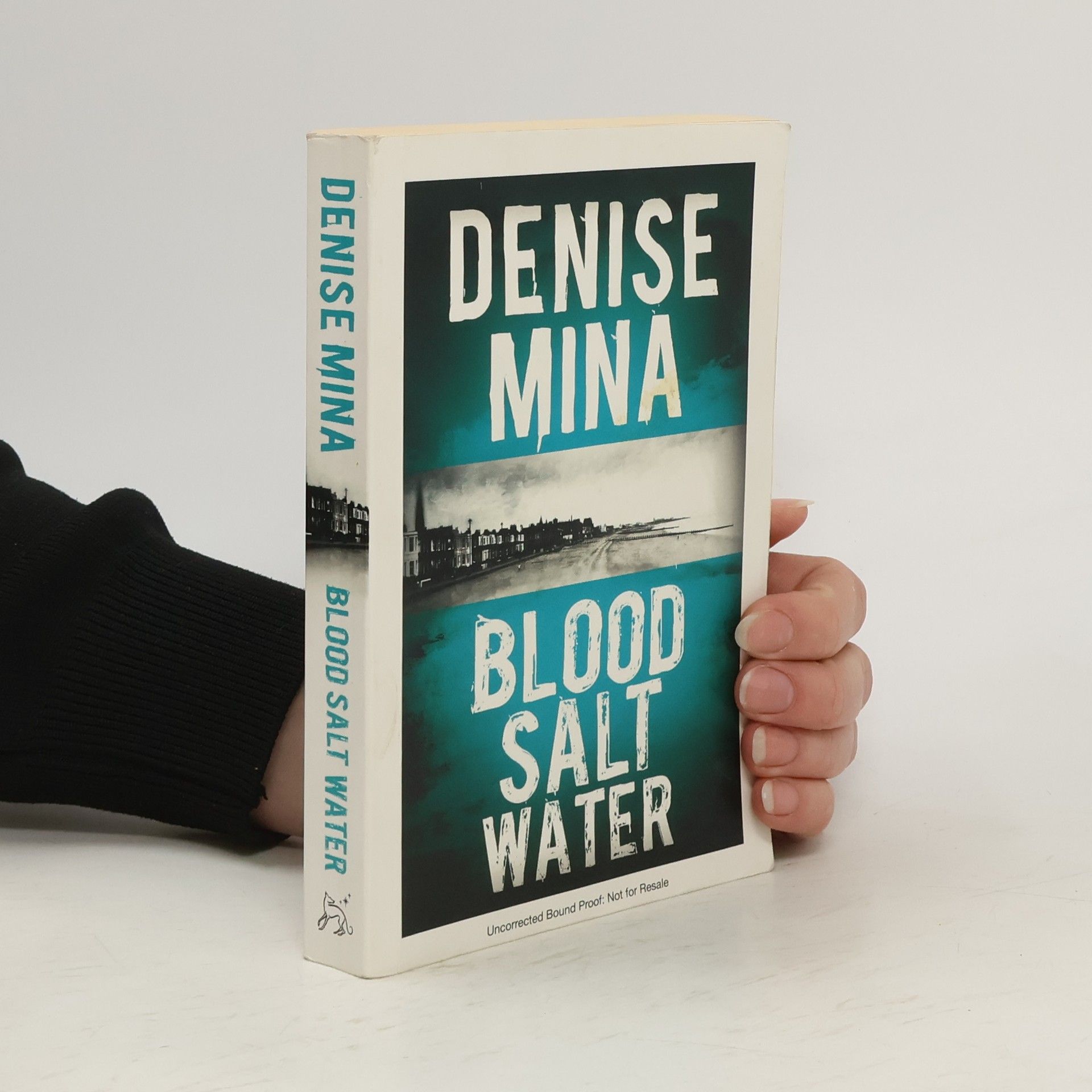 Denise Mina Blood. Salt. Water