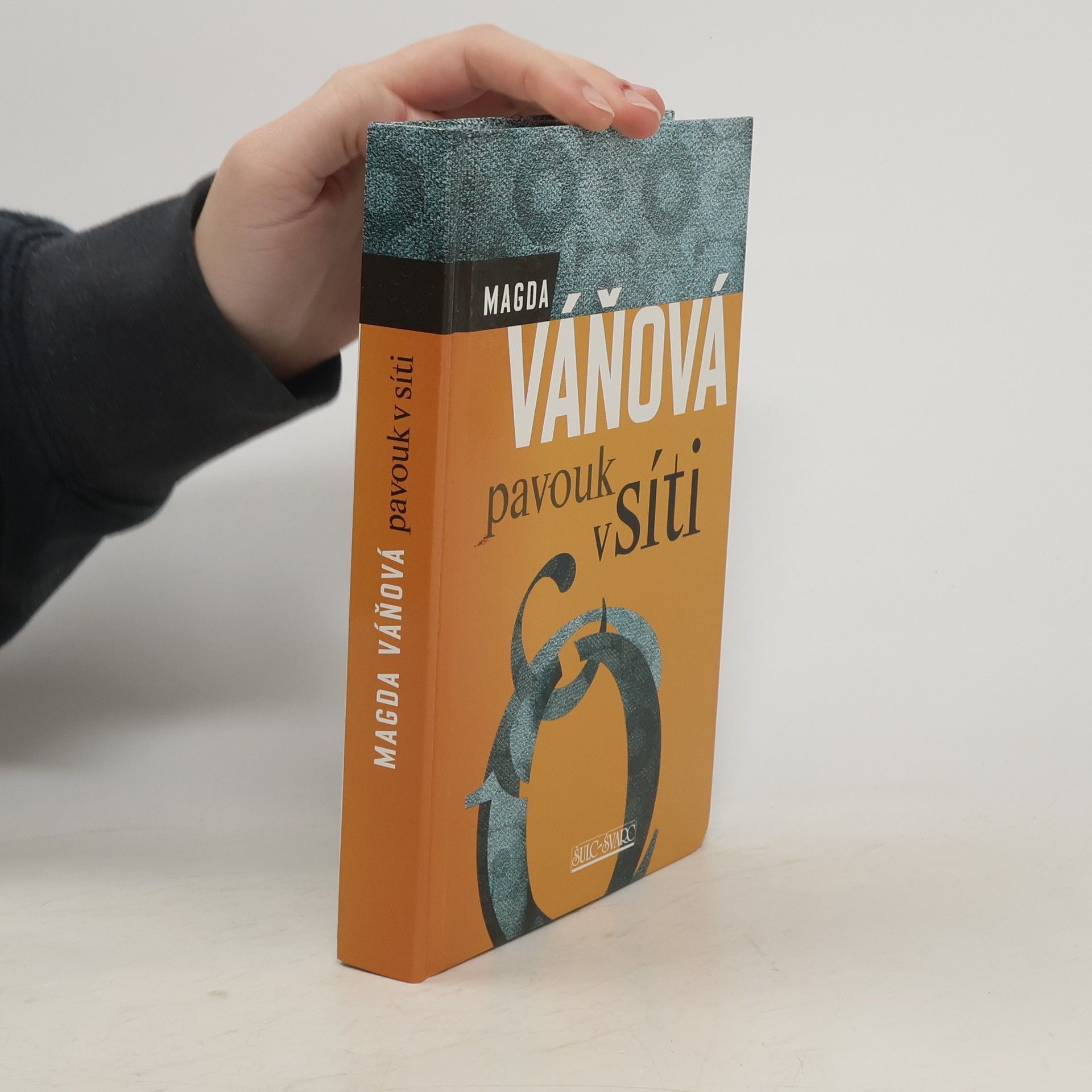 Magda Váňová Pavouk v síti