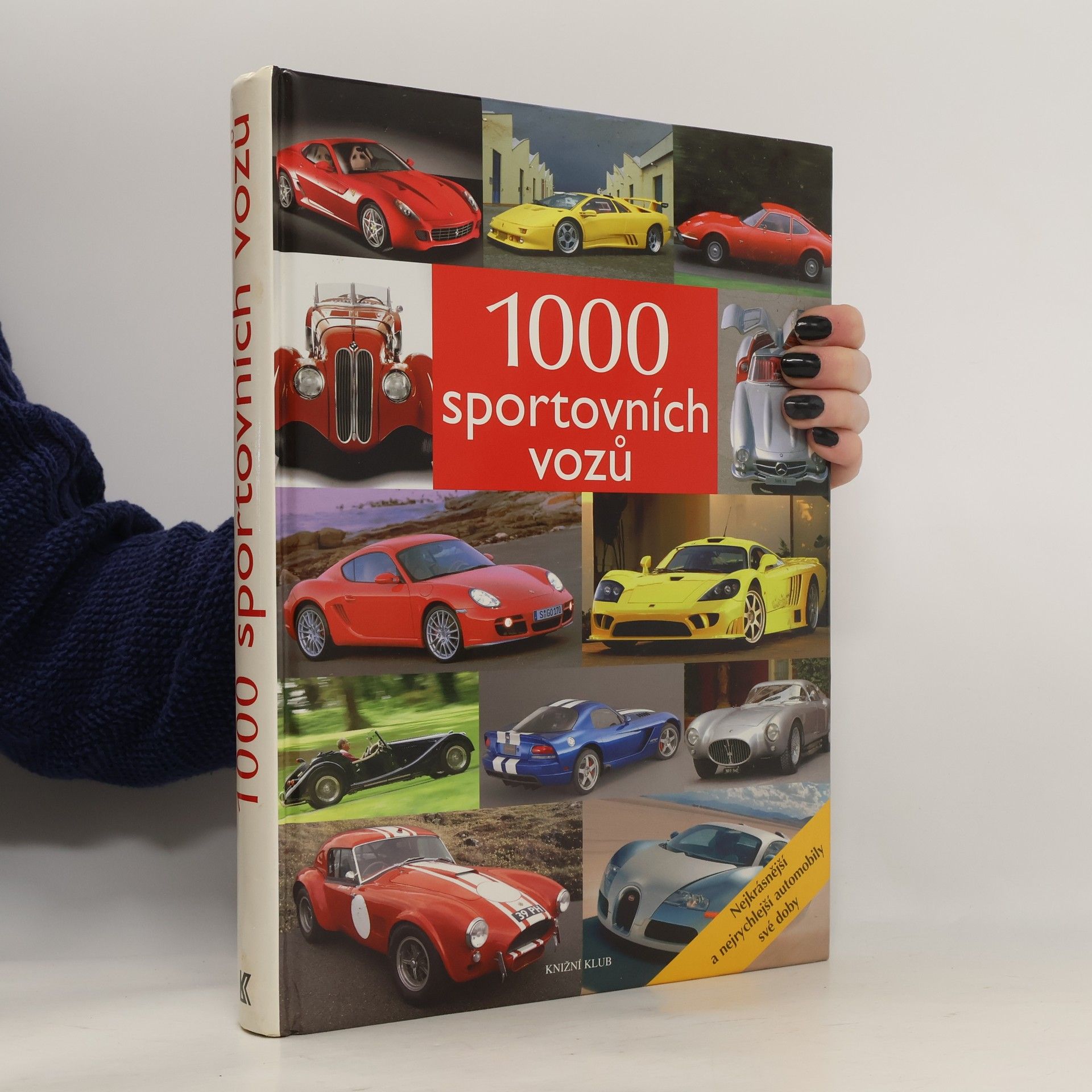 Reinhard Lintelmann 1000 sportovních vozů