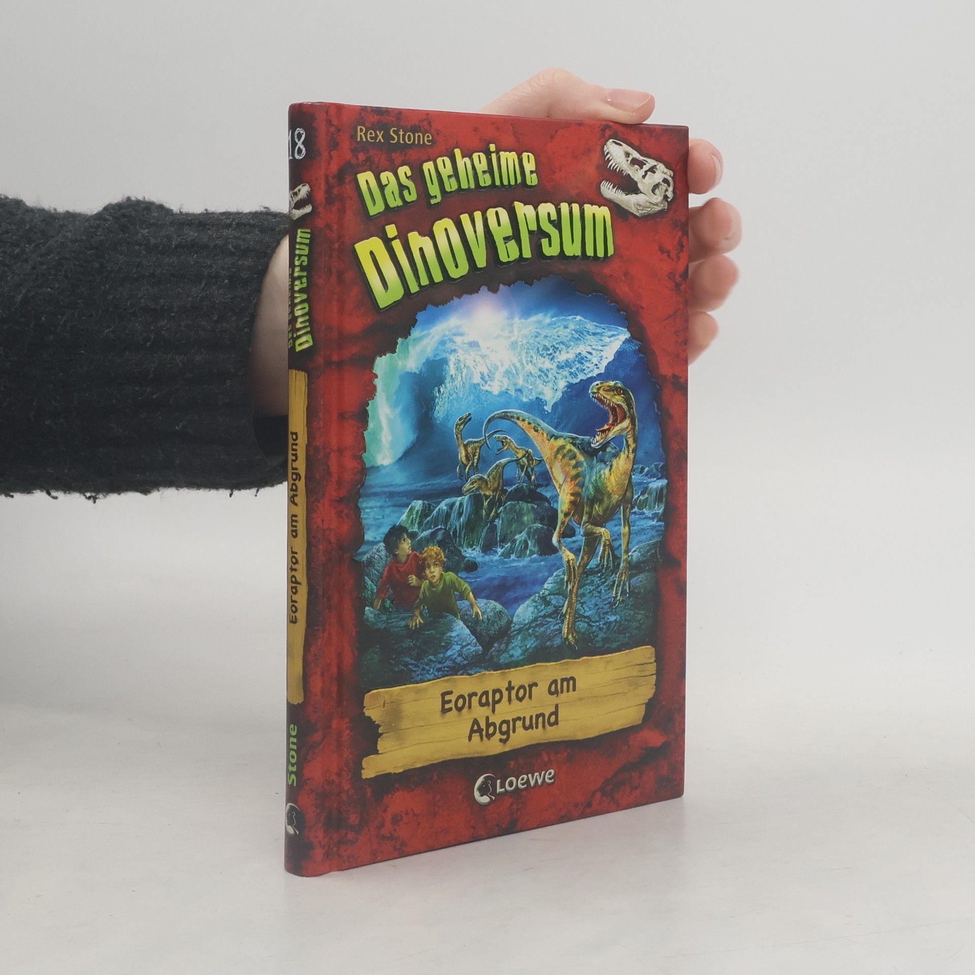 Hayley Daze Das geheime Dinoversum - Eoraptor am Abgrund