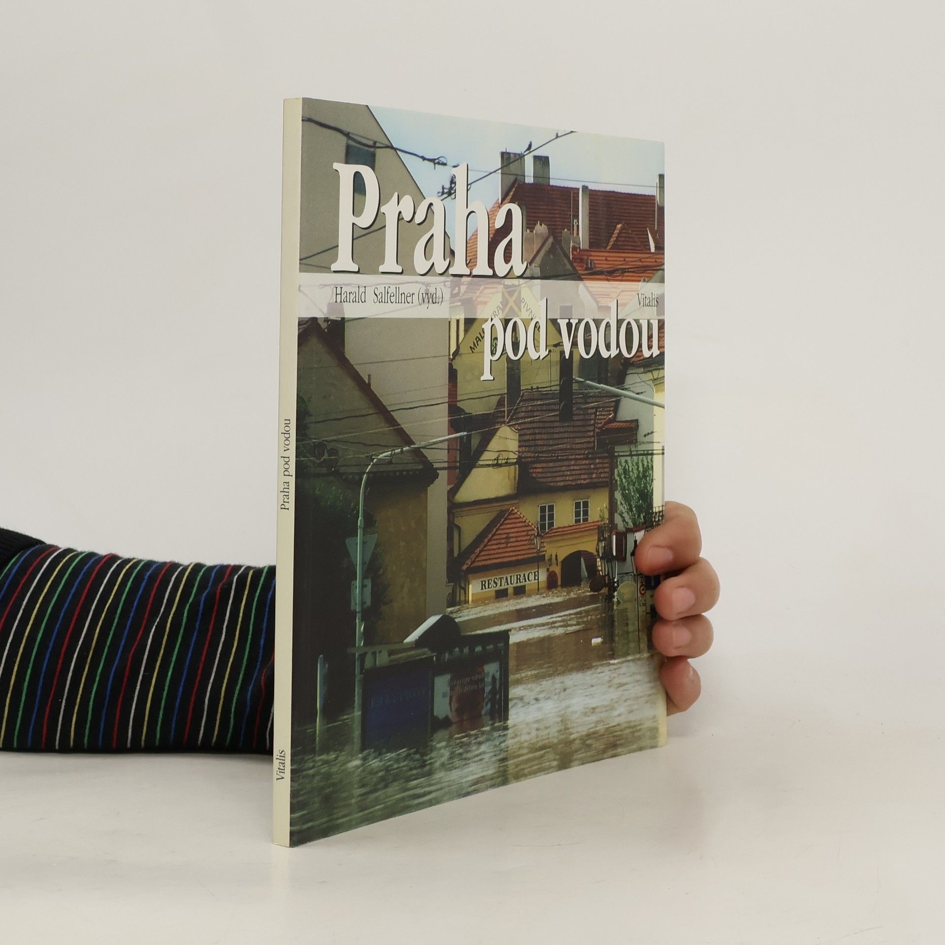 Harald Salfellner Praha pod vodou