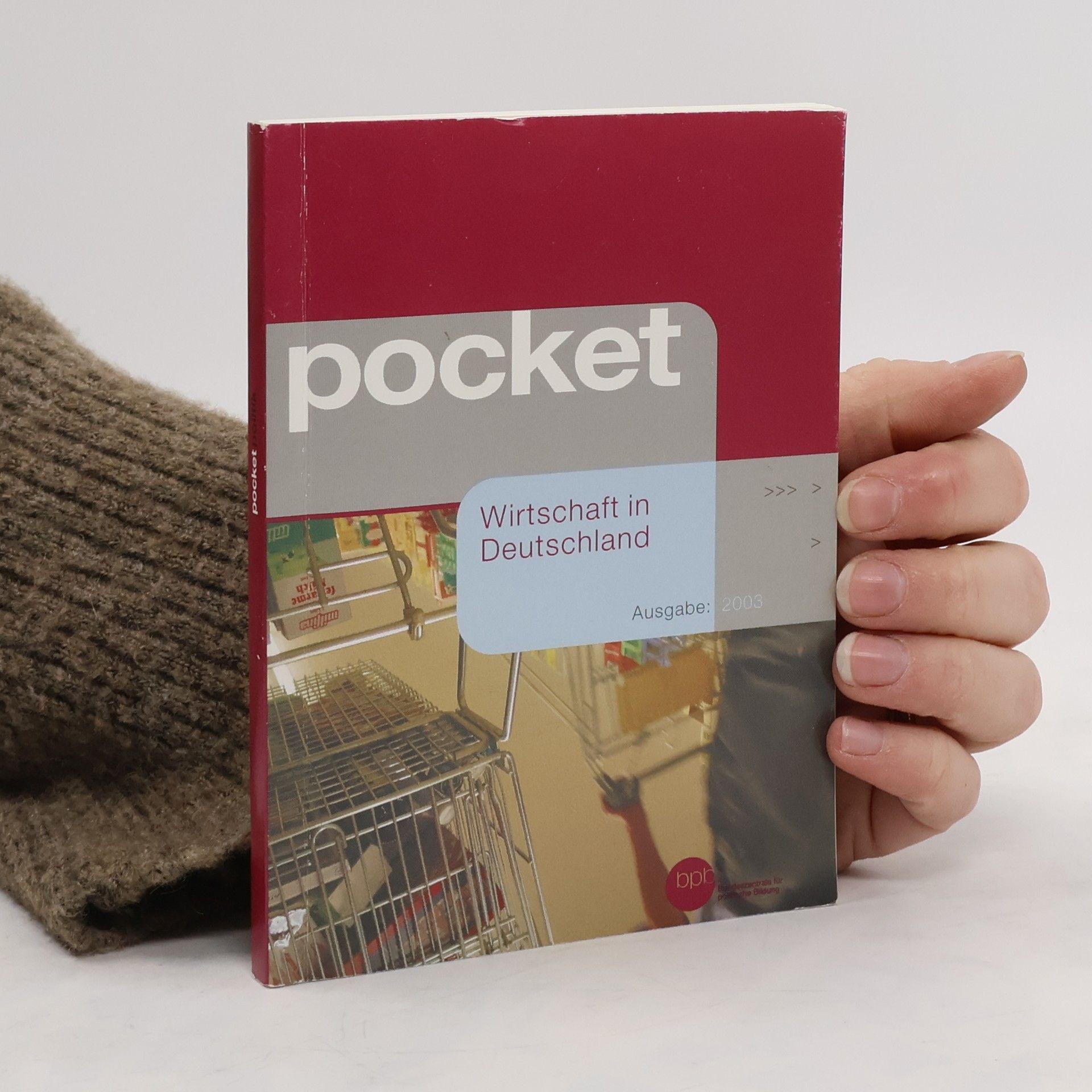 Gerhard Willke Pocket - Wirtschaft in Deutschland