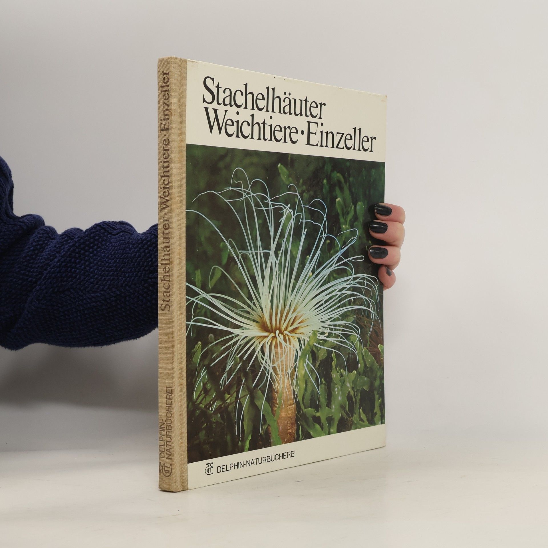 Collectif d'auteurs Stachelhäuter, Weichtiere und Einzeller