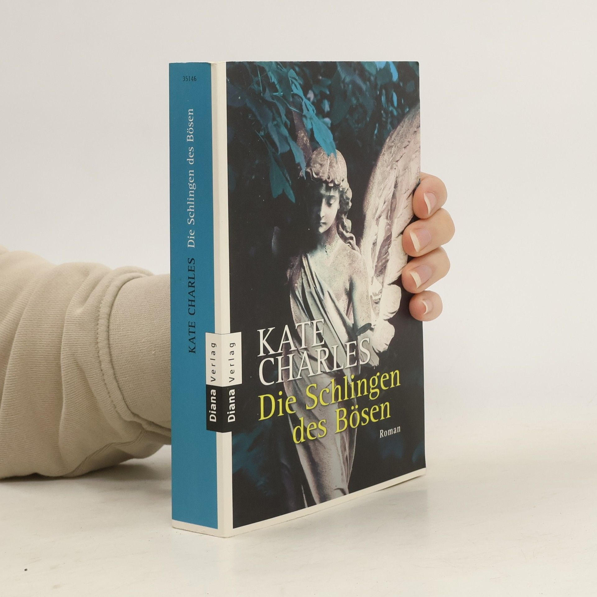 Kate Charles Die Schlingen des Bösen