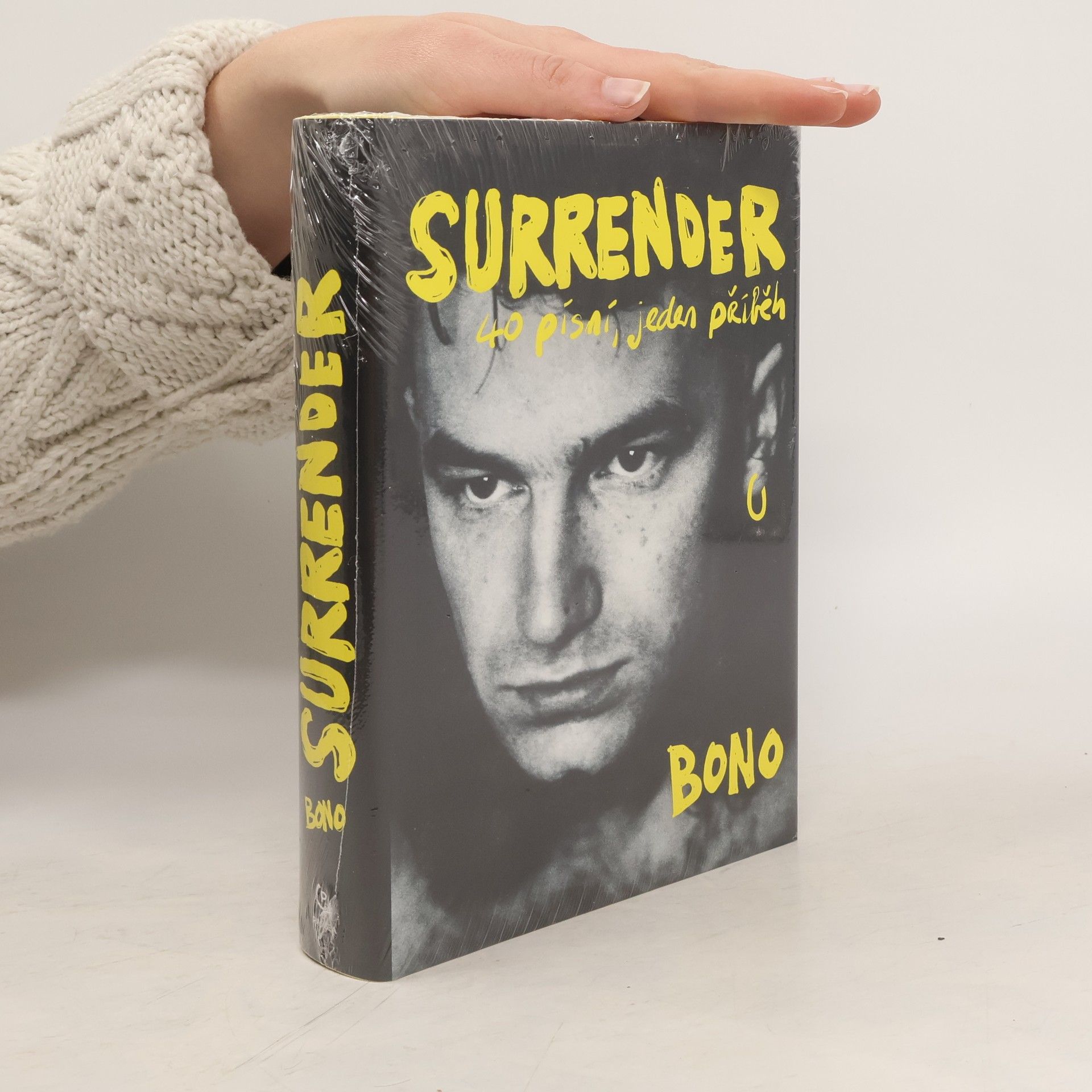 Surrender : 40 písní, jeden příběh
